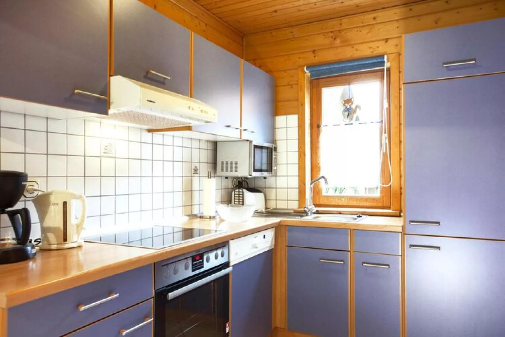 Naturerlebnisdorf Blauvogel - Doppelhaus ca 66qm Typ A-Kitchen