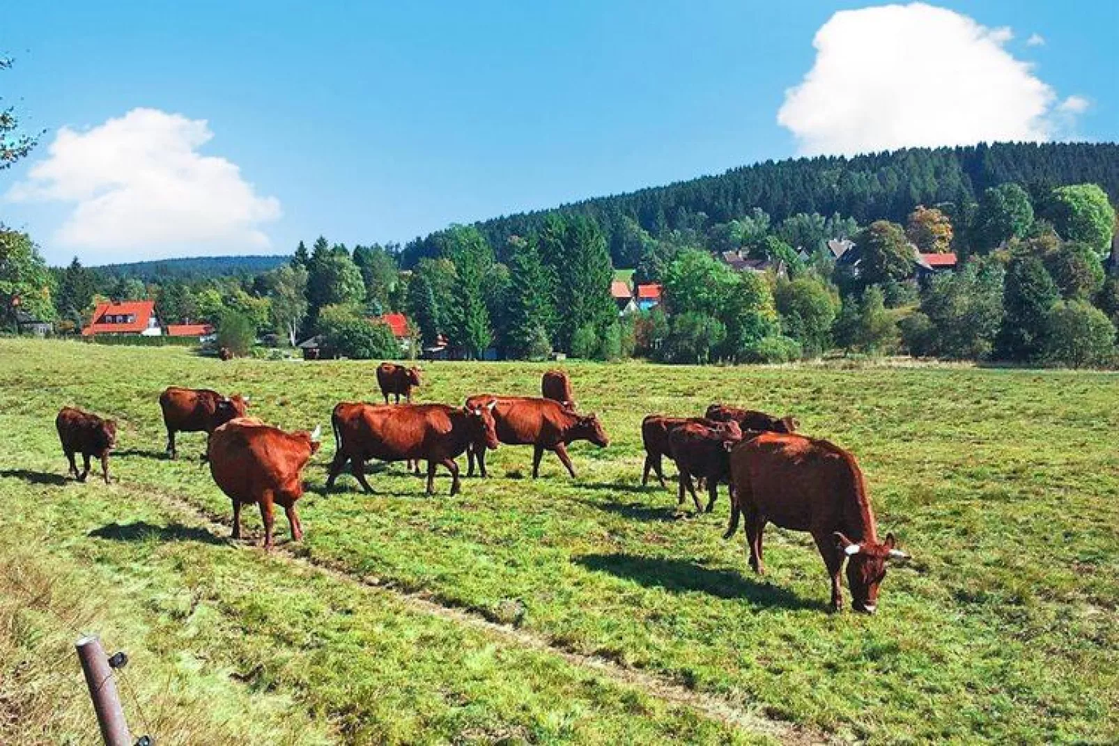 20 Personen-Areas summer 5km