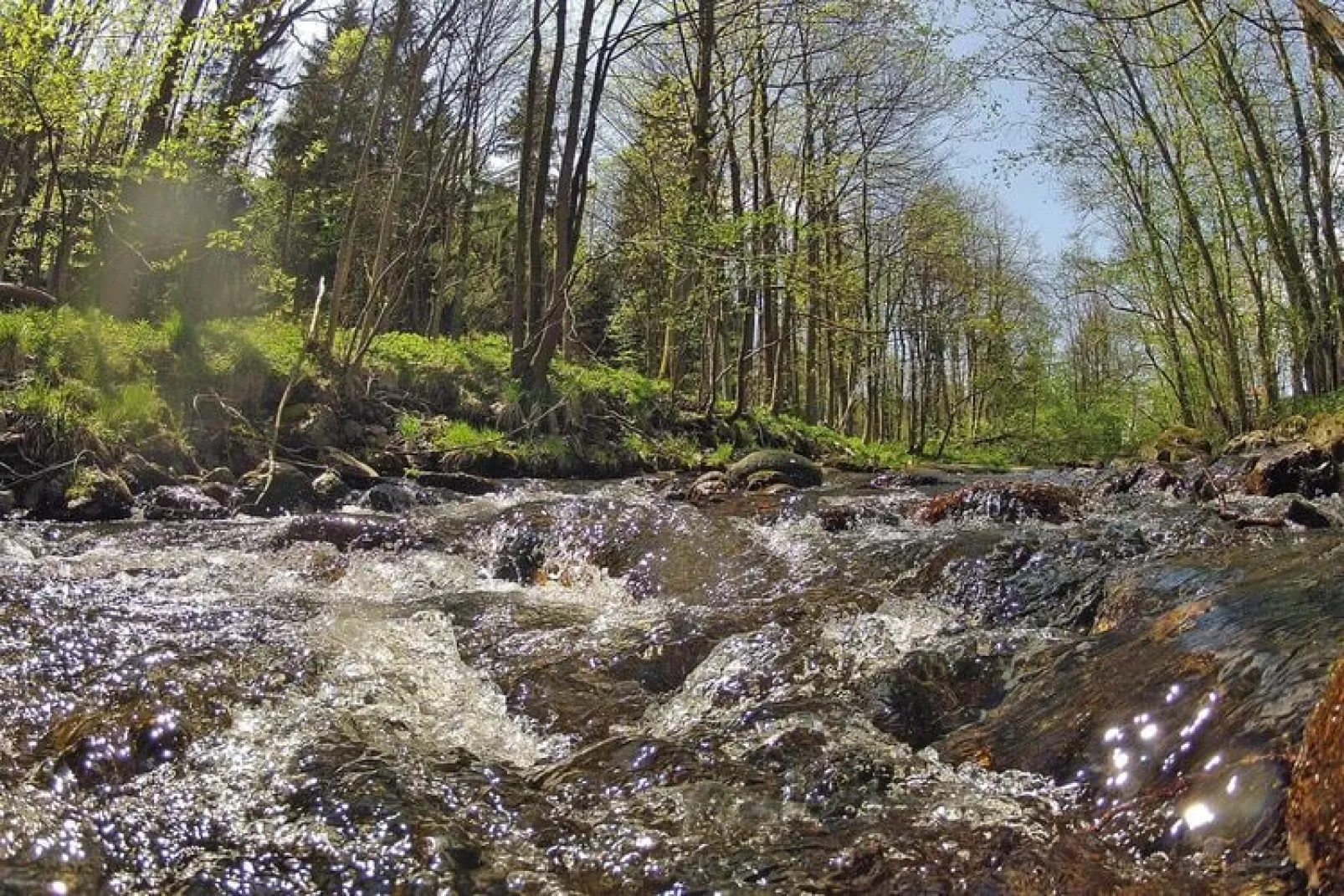 Hasselhäuser-Areas summer 5km