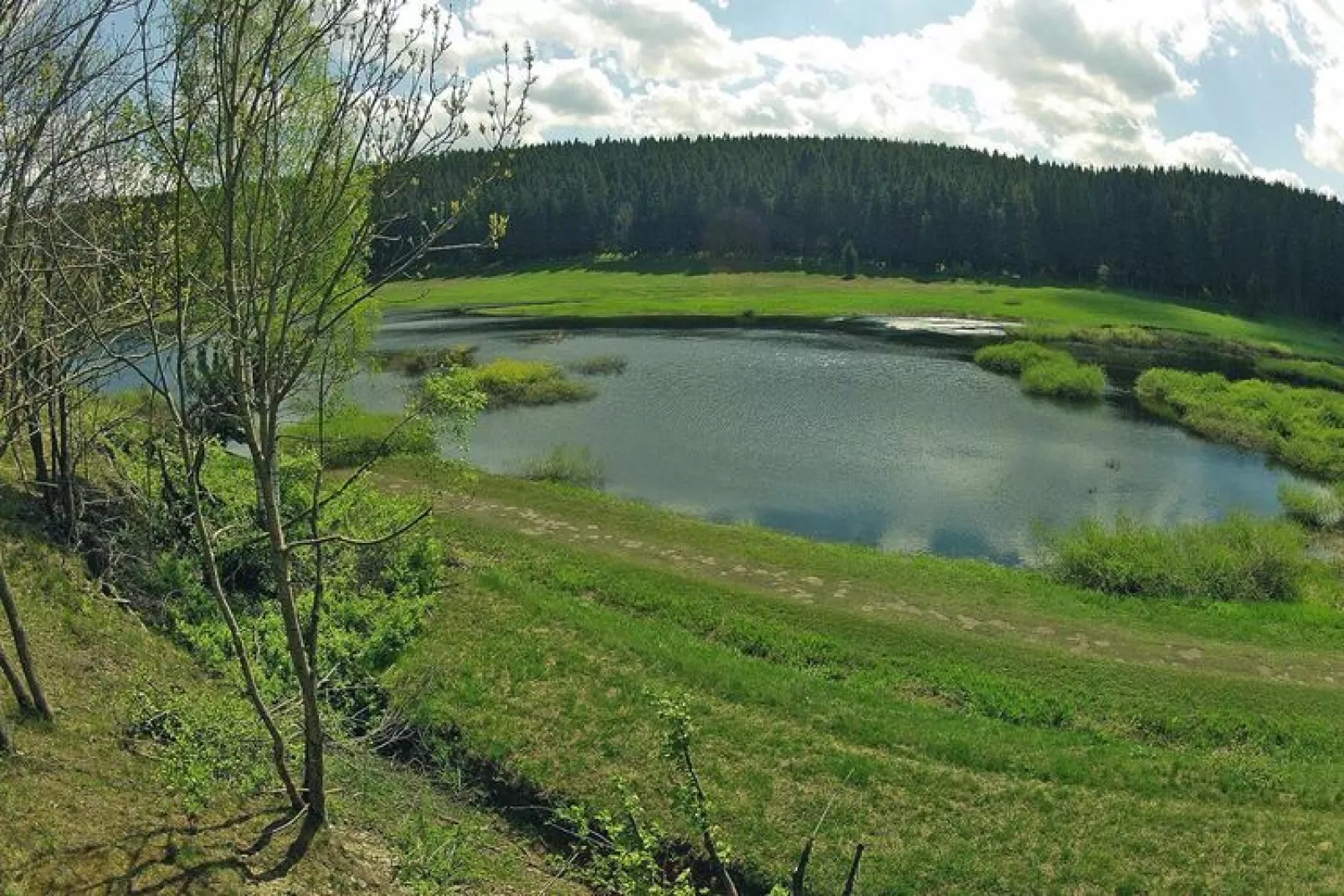 Hasselhäuser-Areas summer 5km