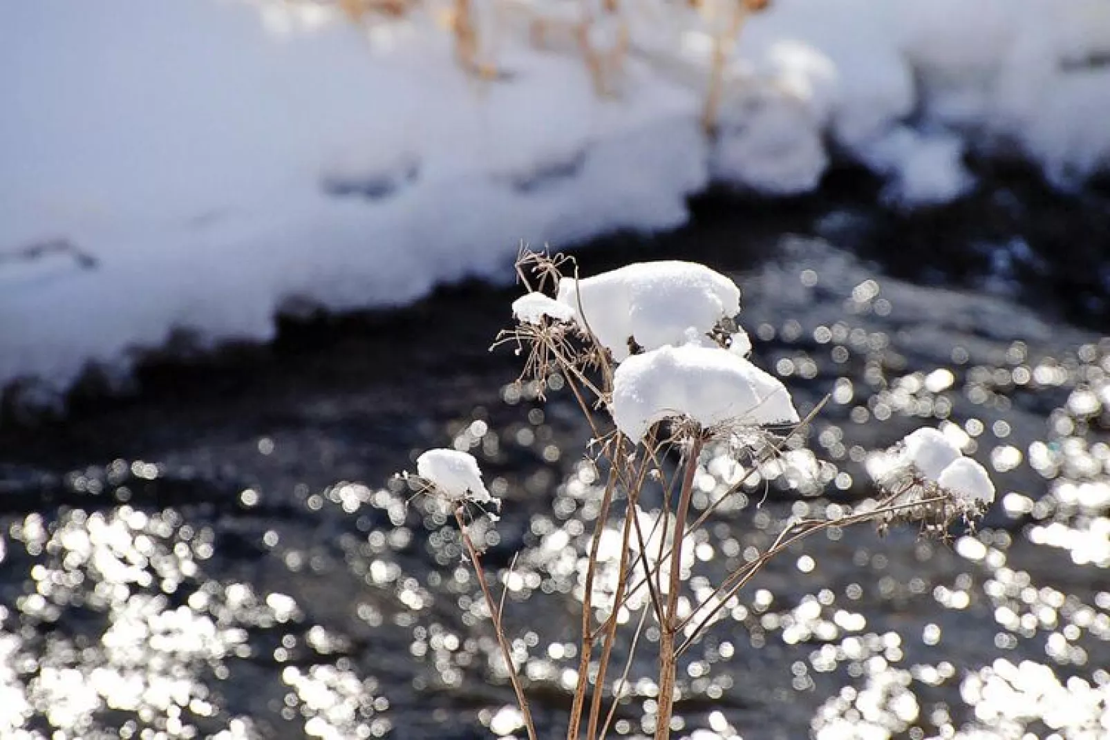 Hasselhäuser-Area winter 5km