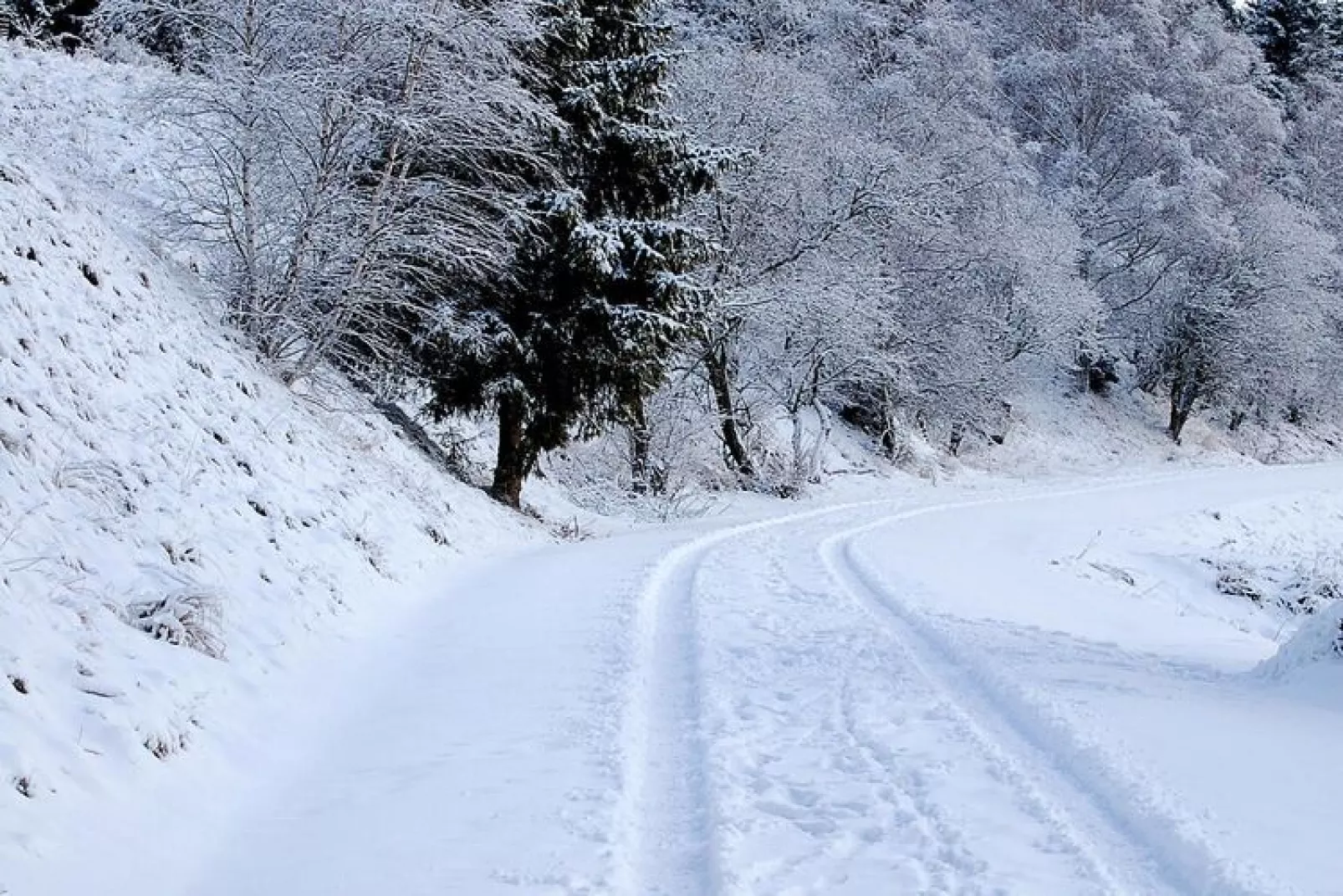 Hasselhäuser-Area winter 5km