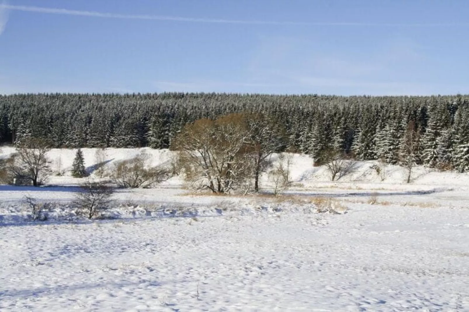 Hexenzauber I-Area within 1km in winter