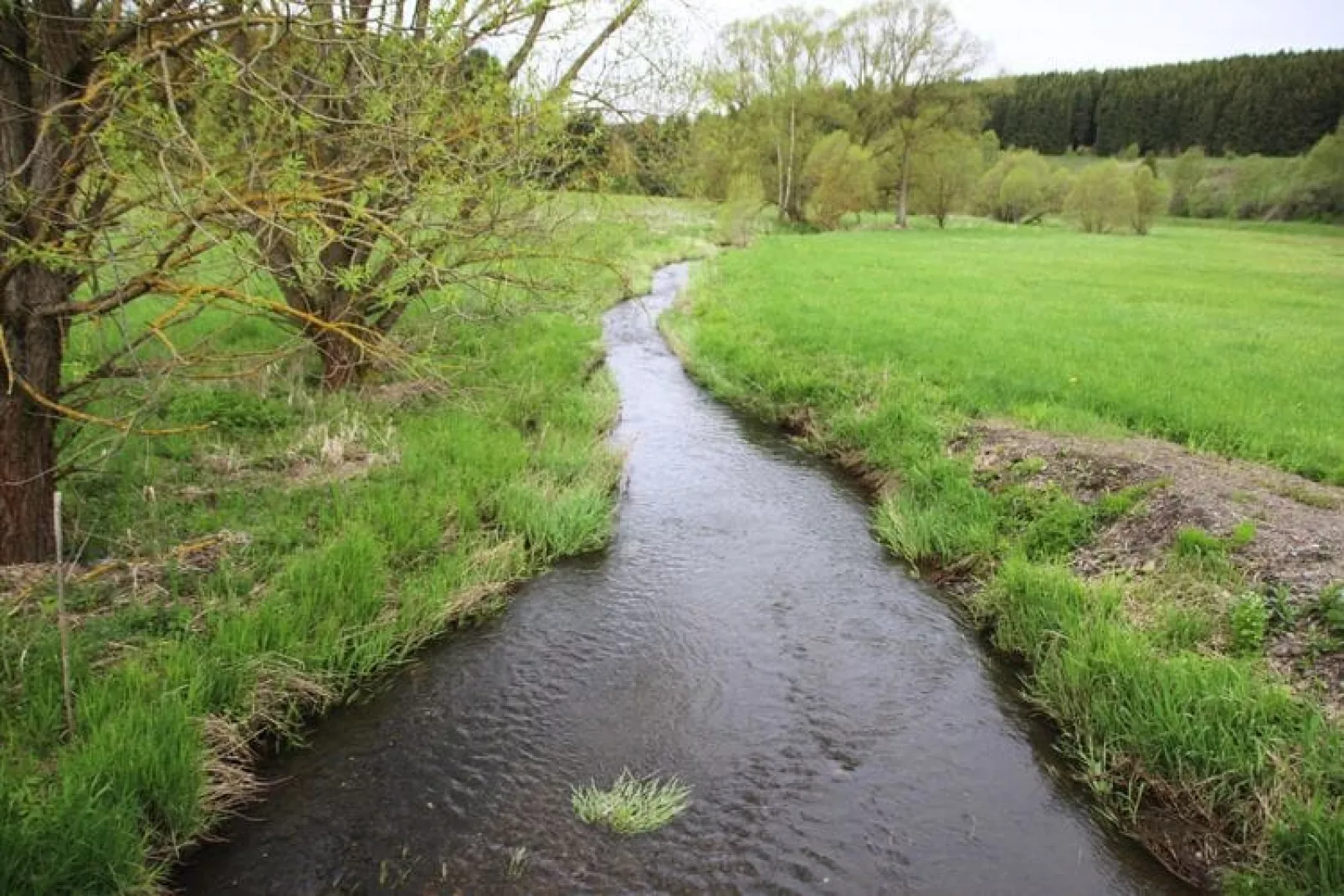 Hexenzauber I-Areas within 1km in summer