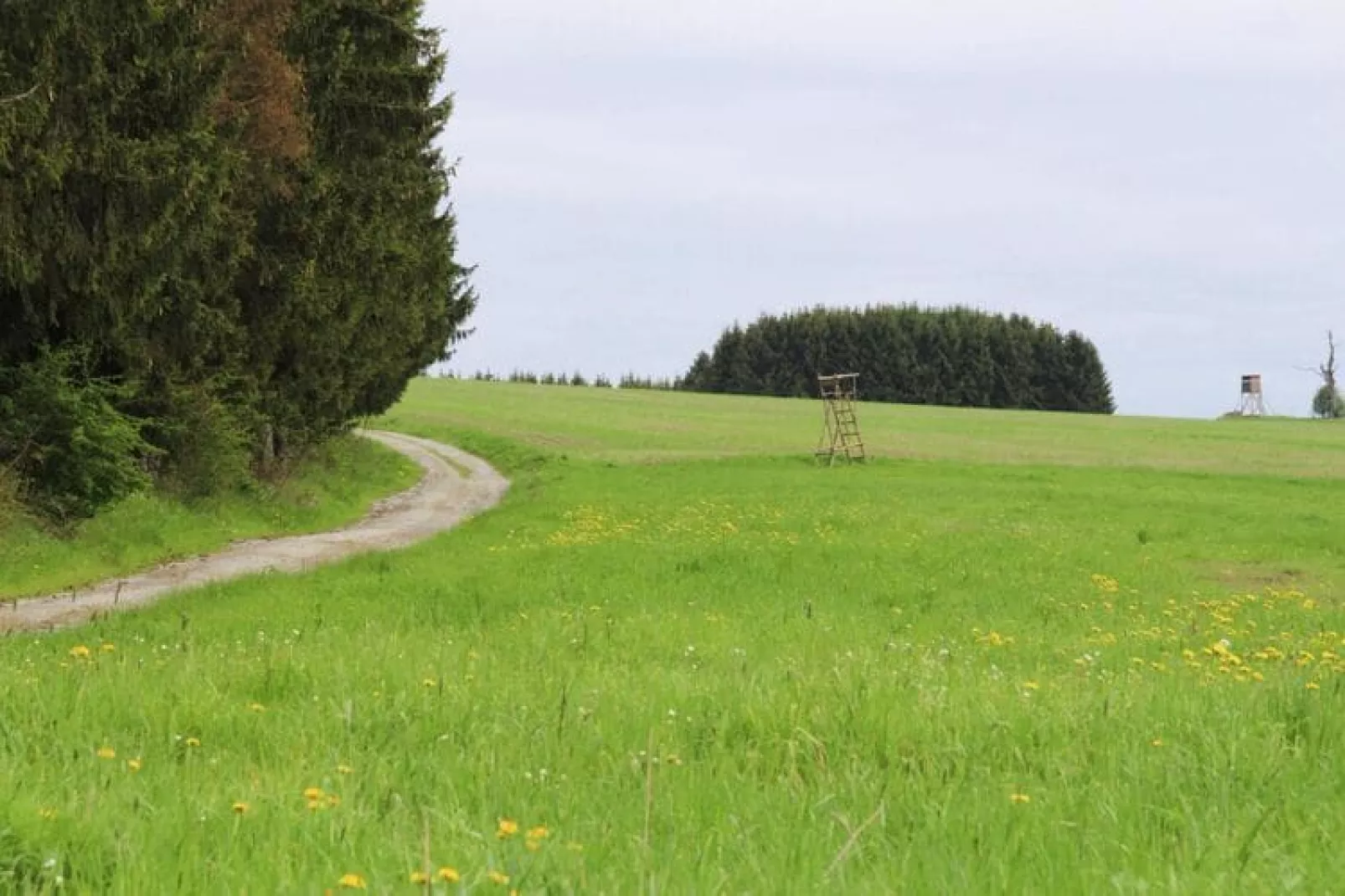 Hexenzauber I-Areas within 1km in summer