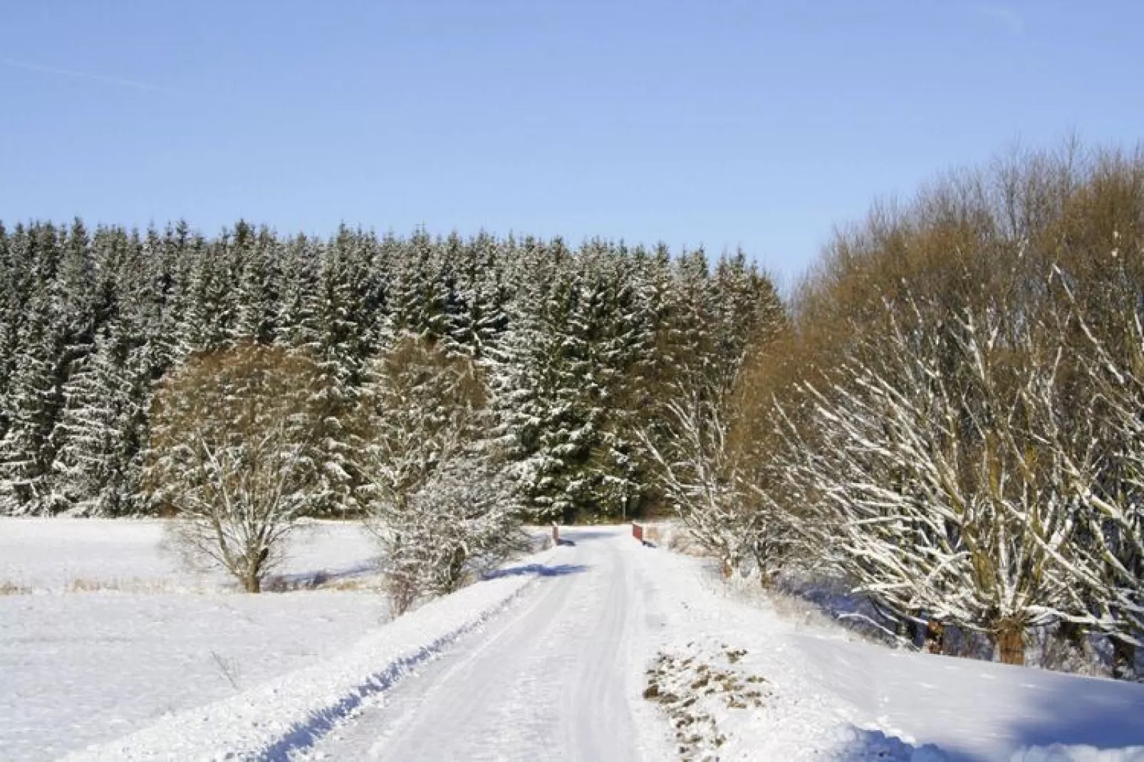 Hexenzauber I-Area within 1km in winter