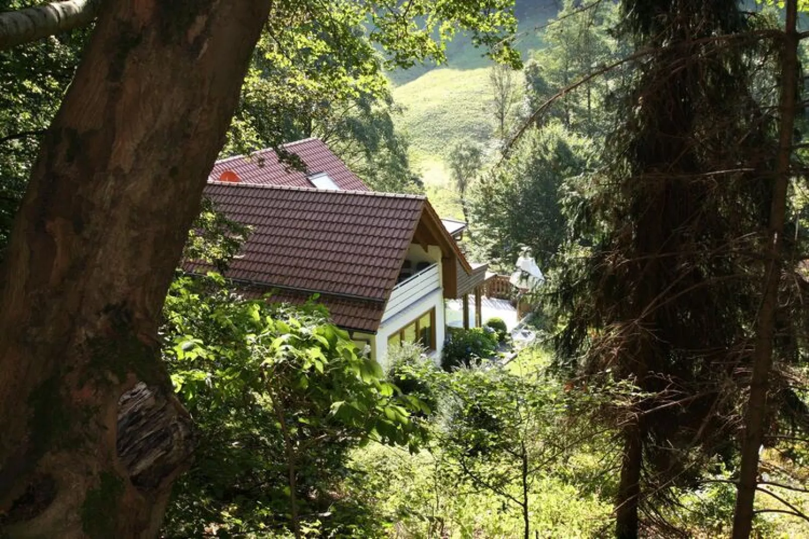 Wohnung 3 Talblick-Gärten Sommer