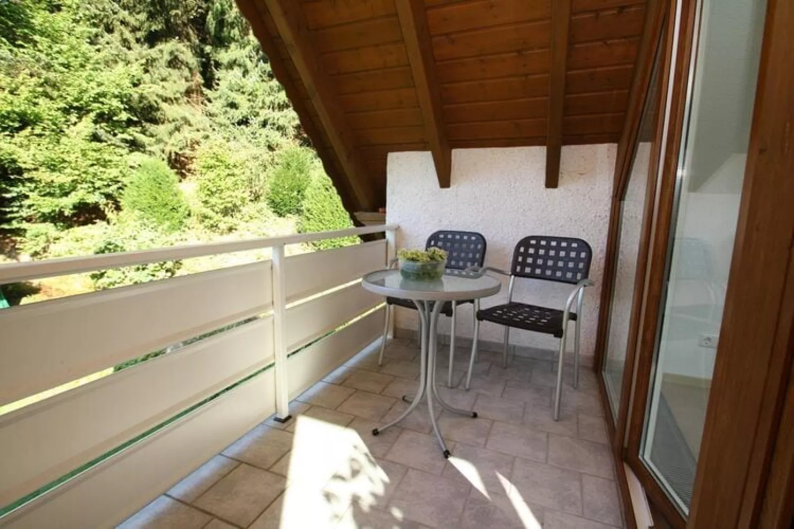 Wohnung 2 Kaminzauber-Terrace