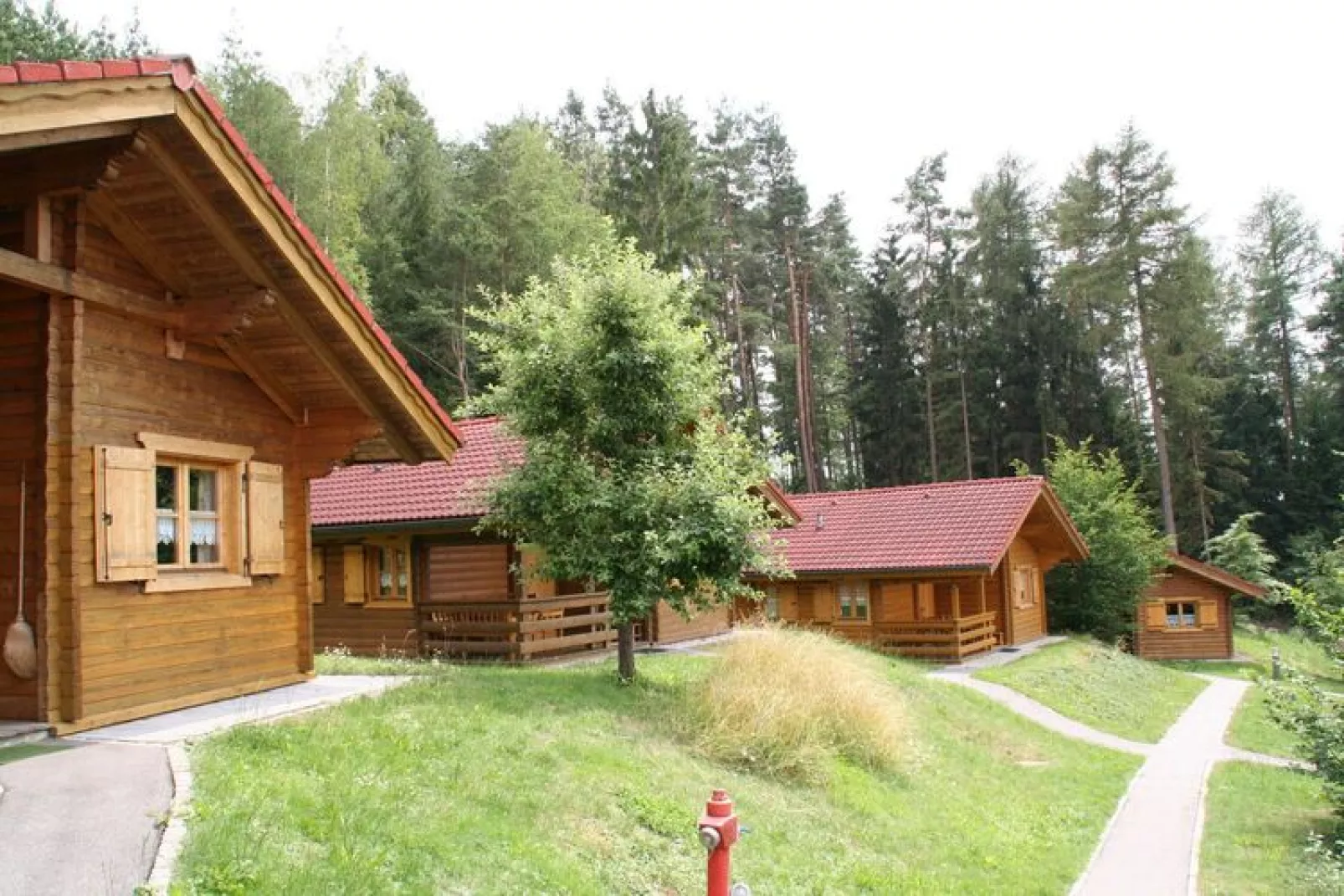 Blockhaus Stamsried-Typ A-Exterior summer