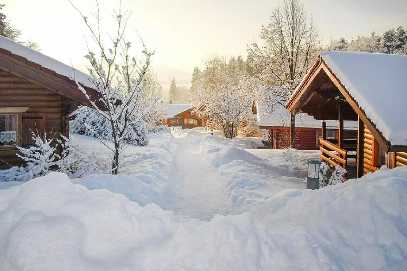 Blockhaus Stamsried-Typ A-Exterior winter