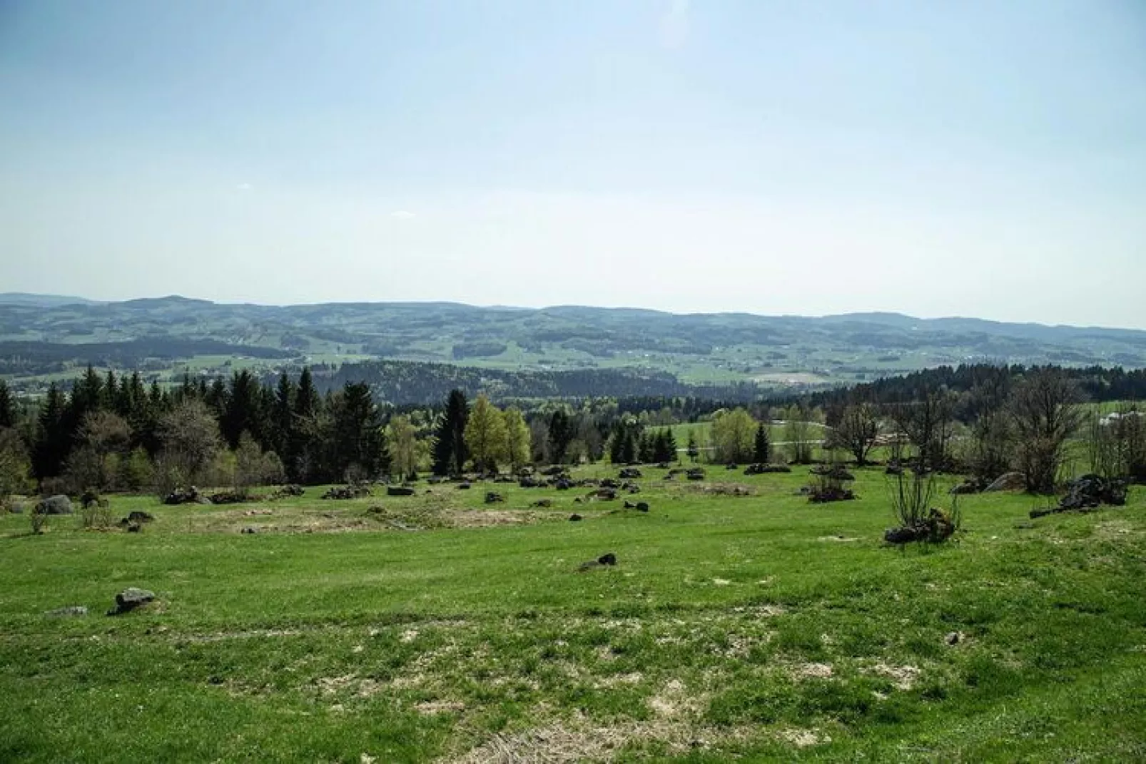 Ferienhaus Panoramablick Neureichenau-Ferienhaus Panoramablick 75 qm-View summer