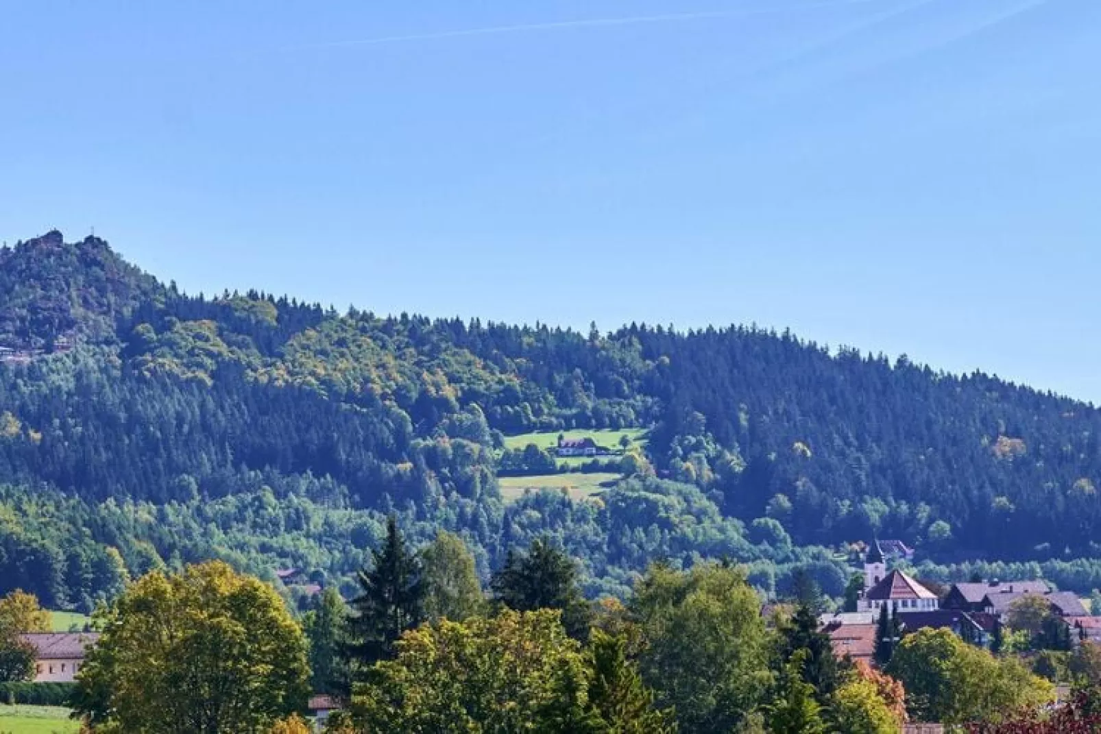 Bodenmais-1-2 Personen 50 qm-View summer
