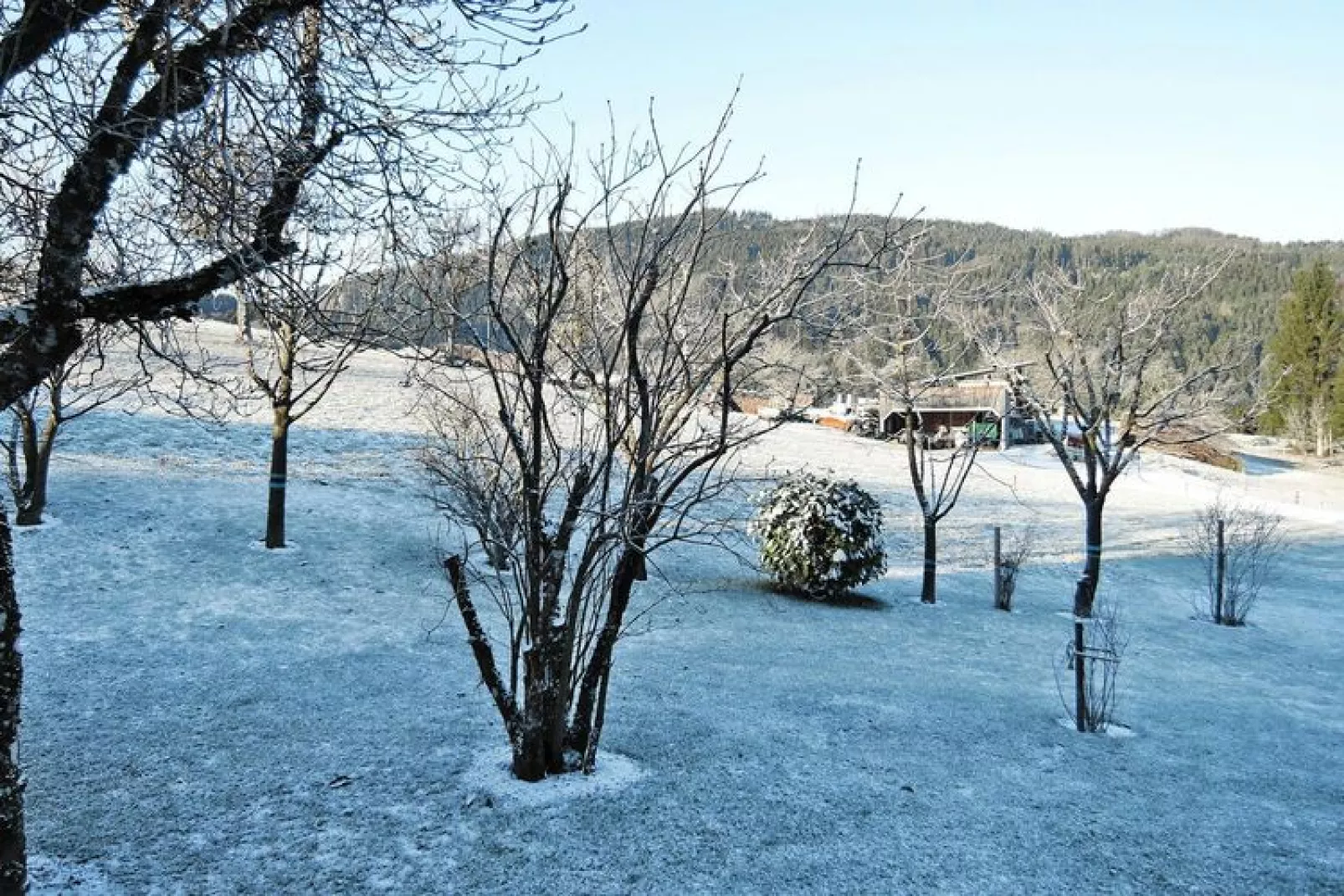 Fewo 75 qm-Area winter 5km