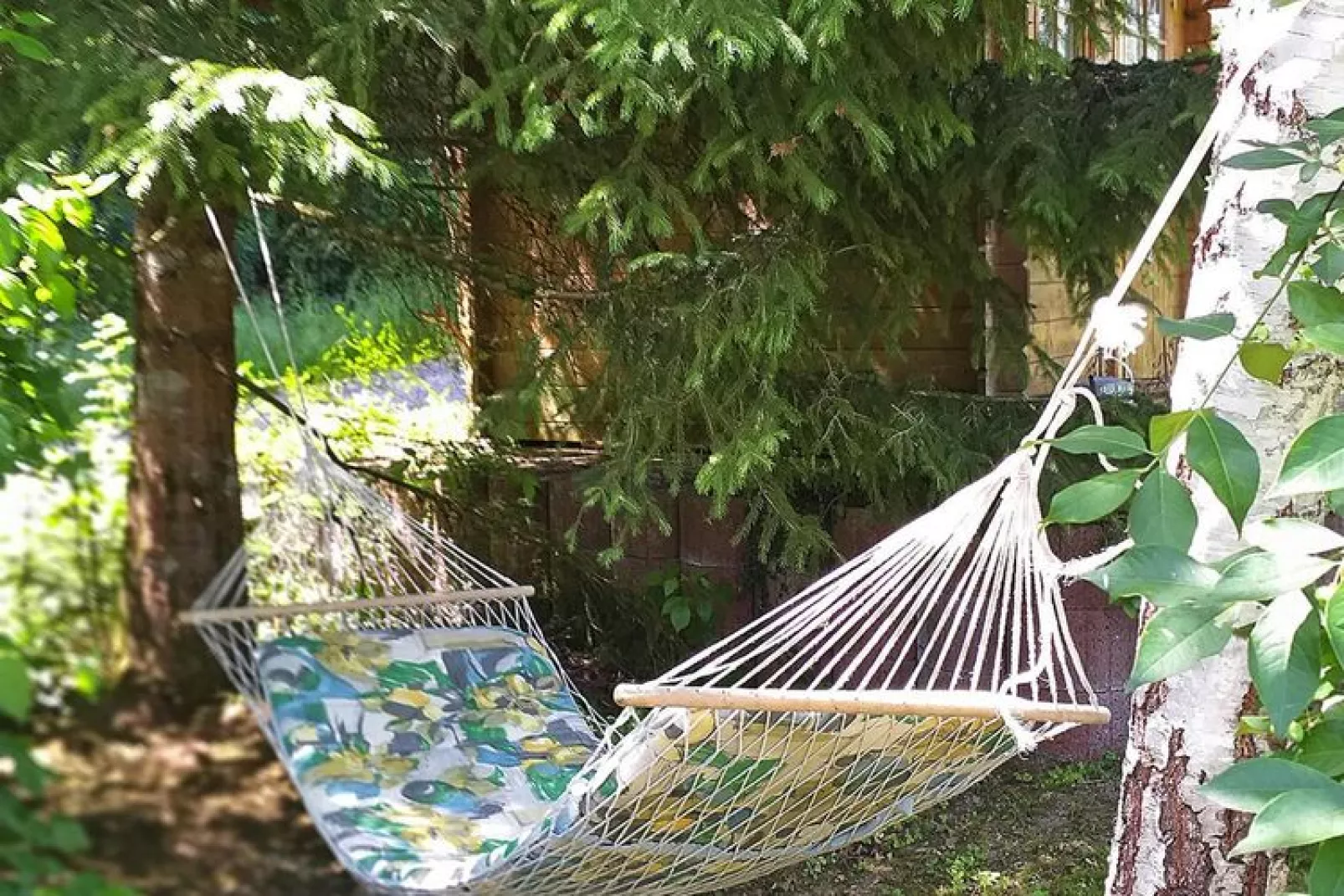 Ferienhaus Dornhan-Gärten Sommer