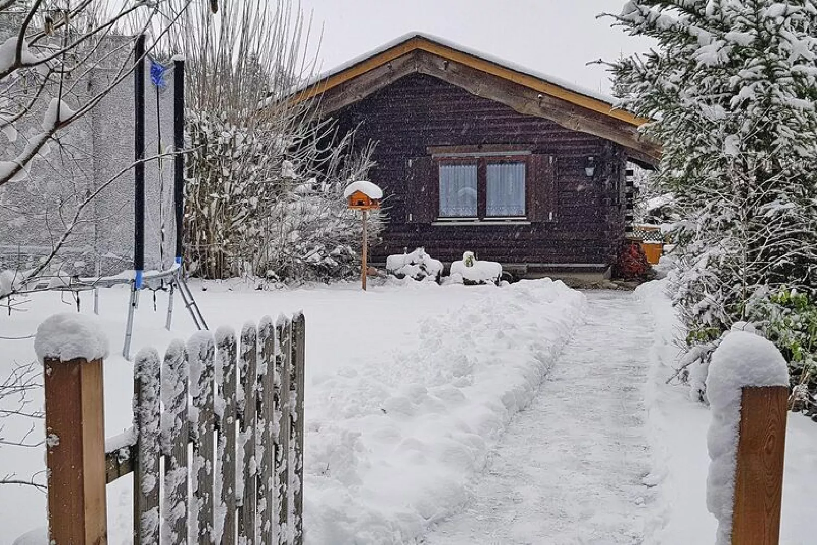 Ferienhaus Dornhan-Außenbereich Sommer