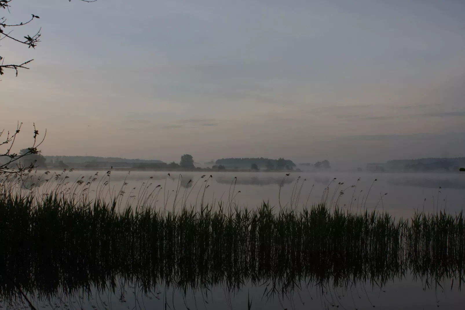 Reihenhaus Tulpe-Gebiete Sommer 1 km