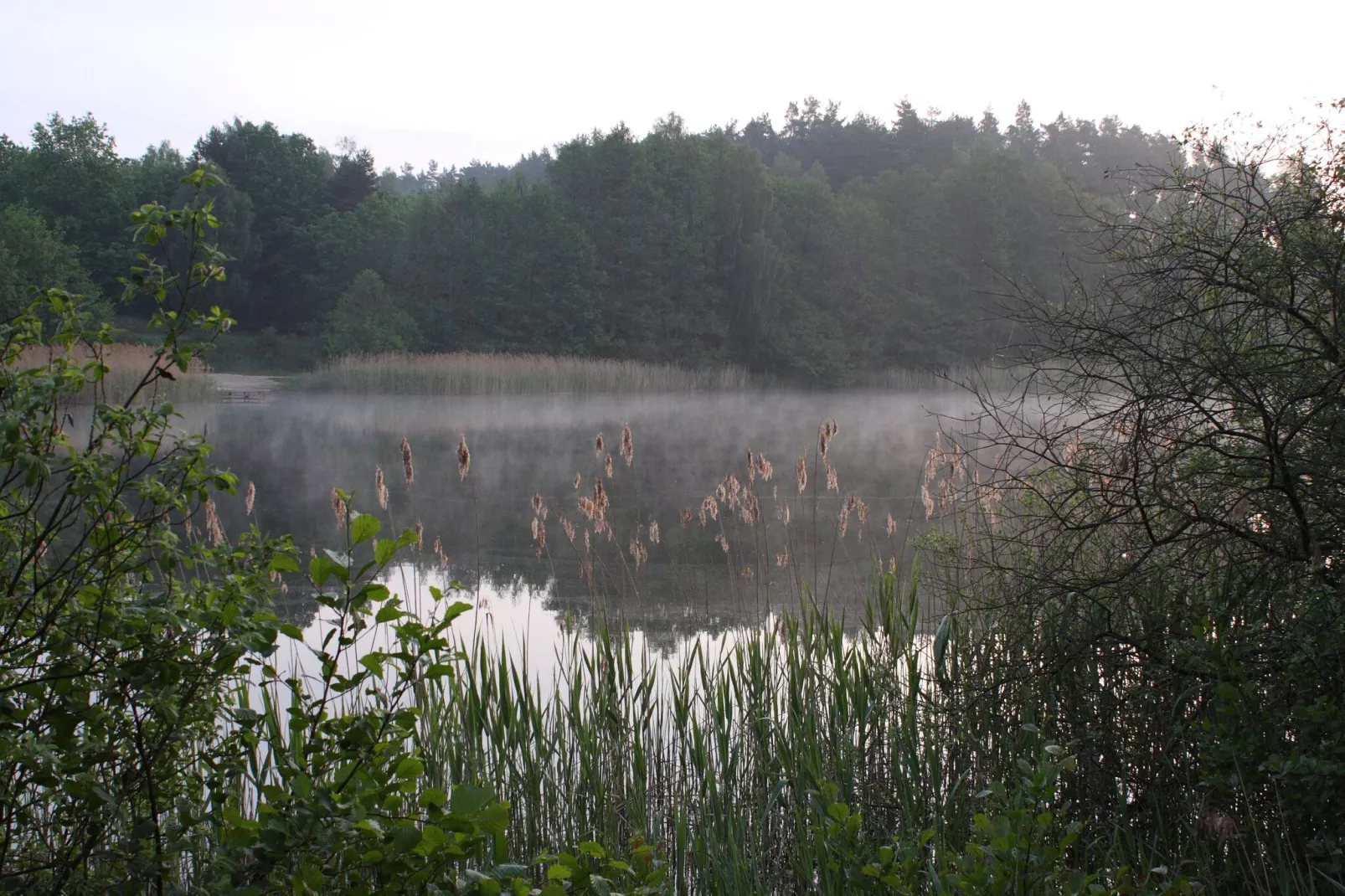 Reihenhaus Magerite-Areas summer 1km