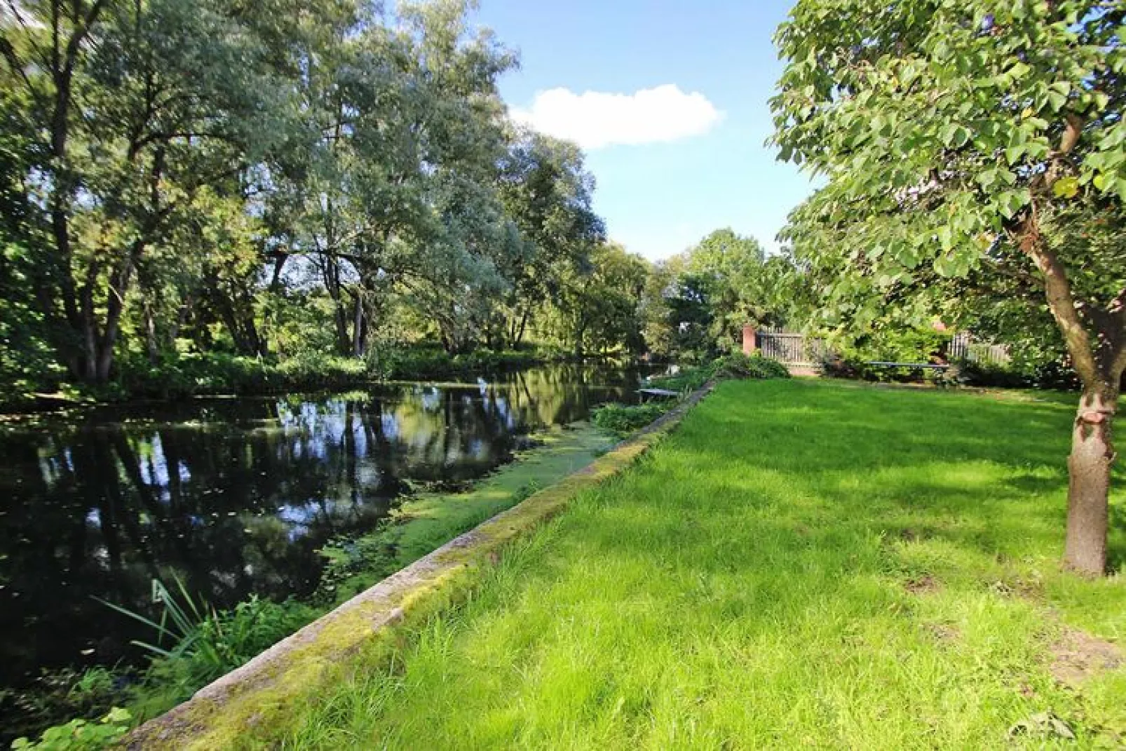 Rosenhof 250 qm-Gardens summer