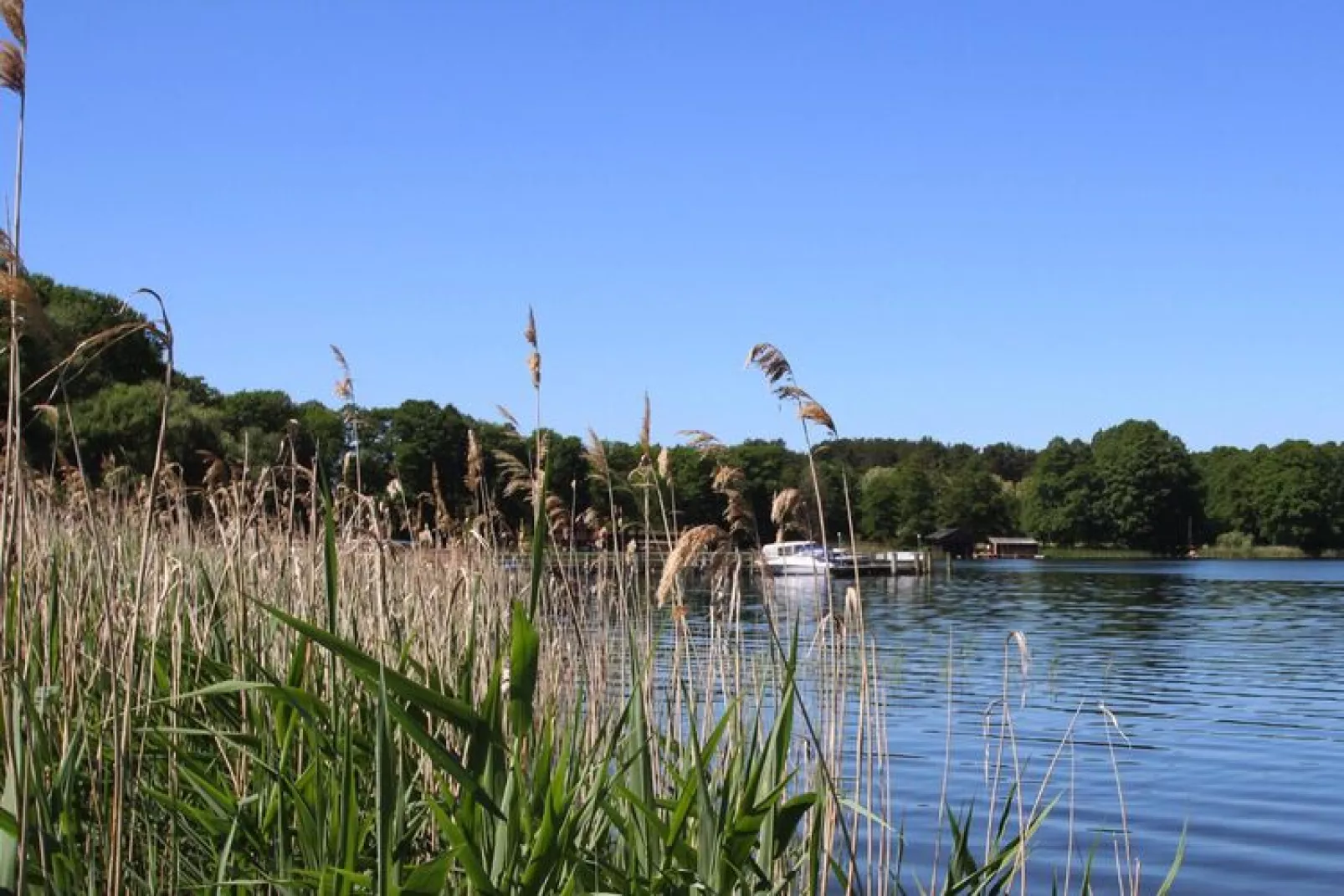 Bungalow 6 Waren-Water view