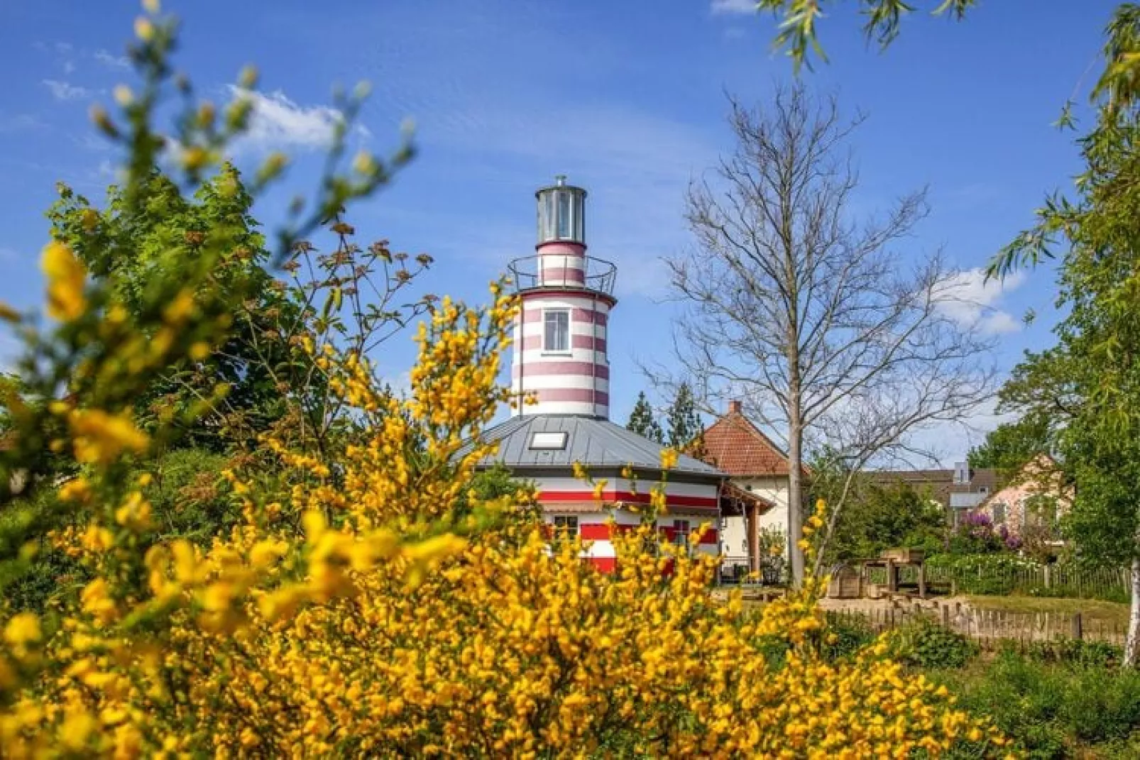 BEECH Resort Fleesensee in Göhren-Lebbin-Außenbereich Sommer