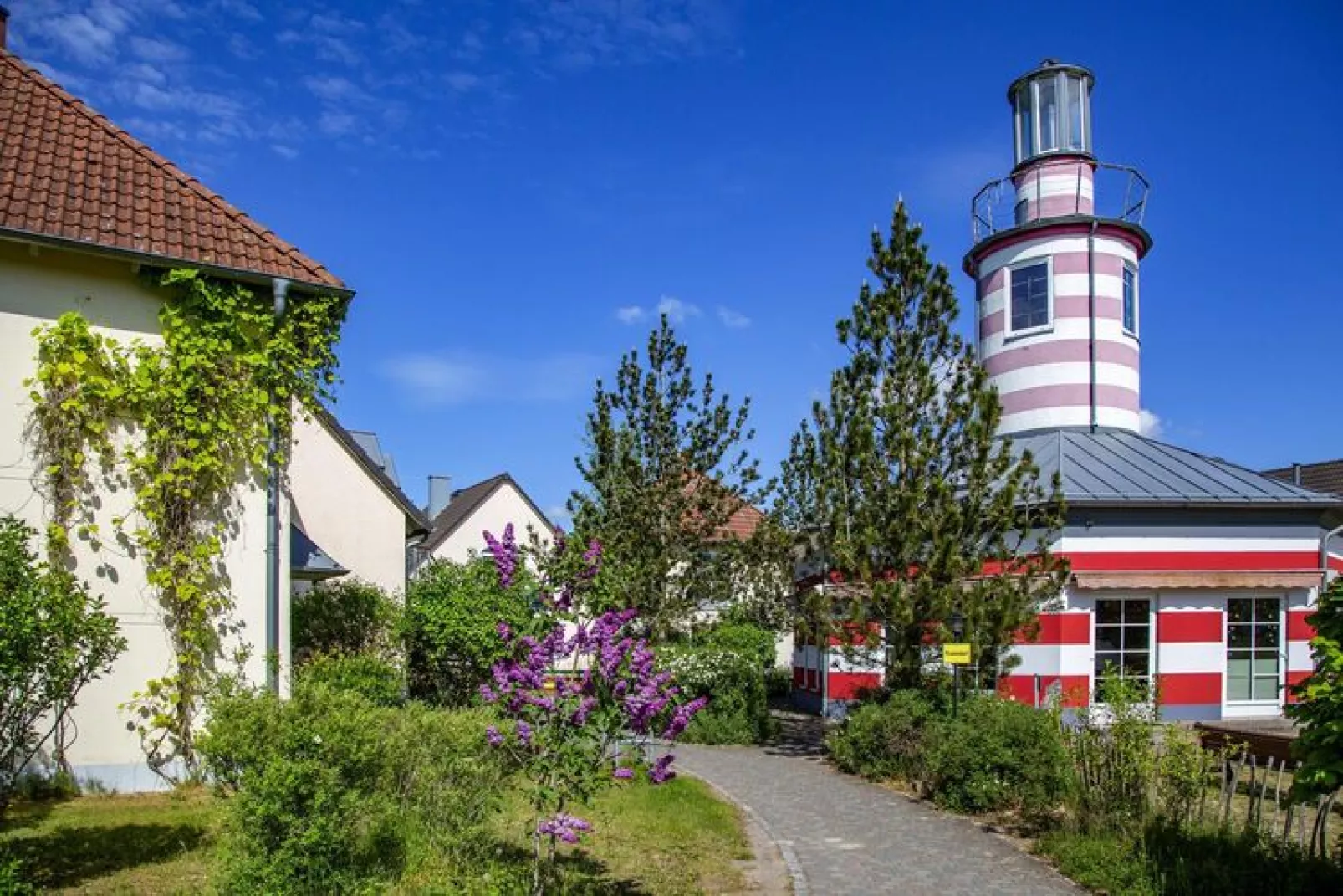BEECH Resort Fleesensee in Göhren-Lebbin-Außenbereich Sommer