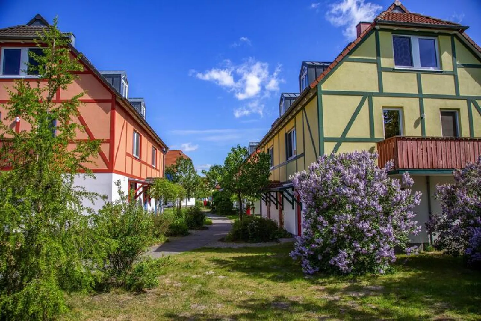 BEECH Resort Fleesensee in Göhren-Lebbin-Außenbereich Sommer