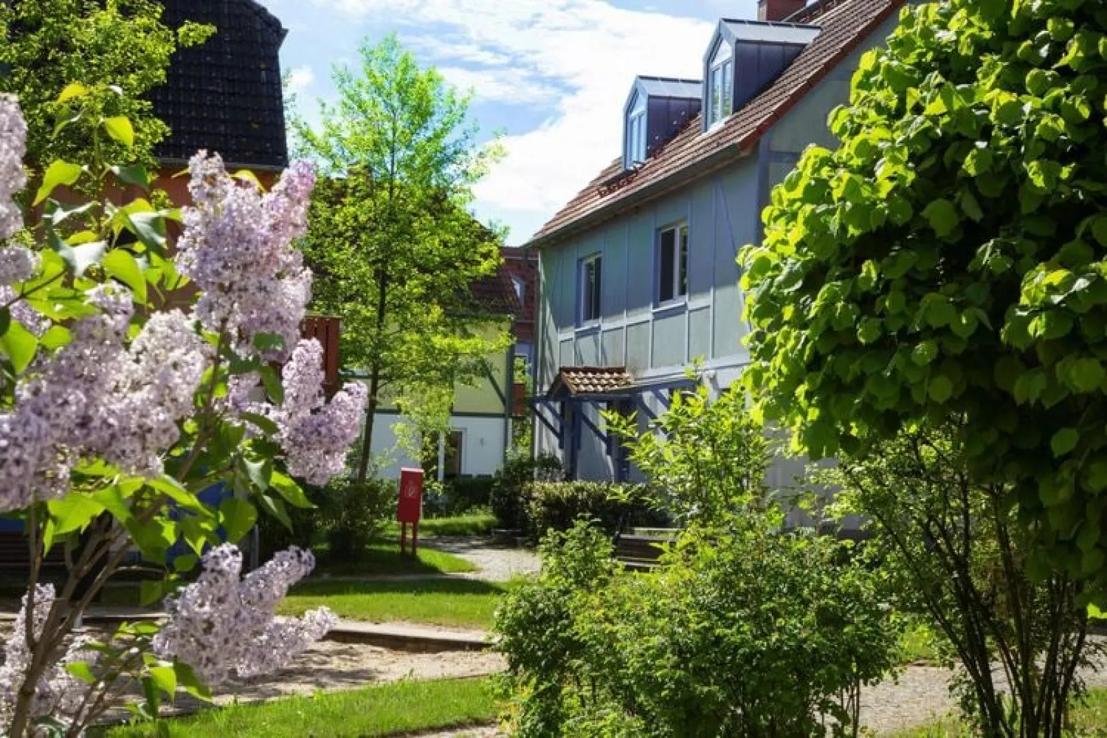 BEECH Resort Fleesensee in Göhren-Lebbin-Außenbereich Sommer