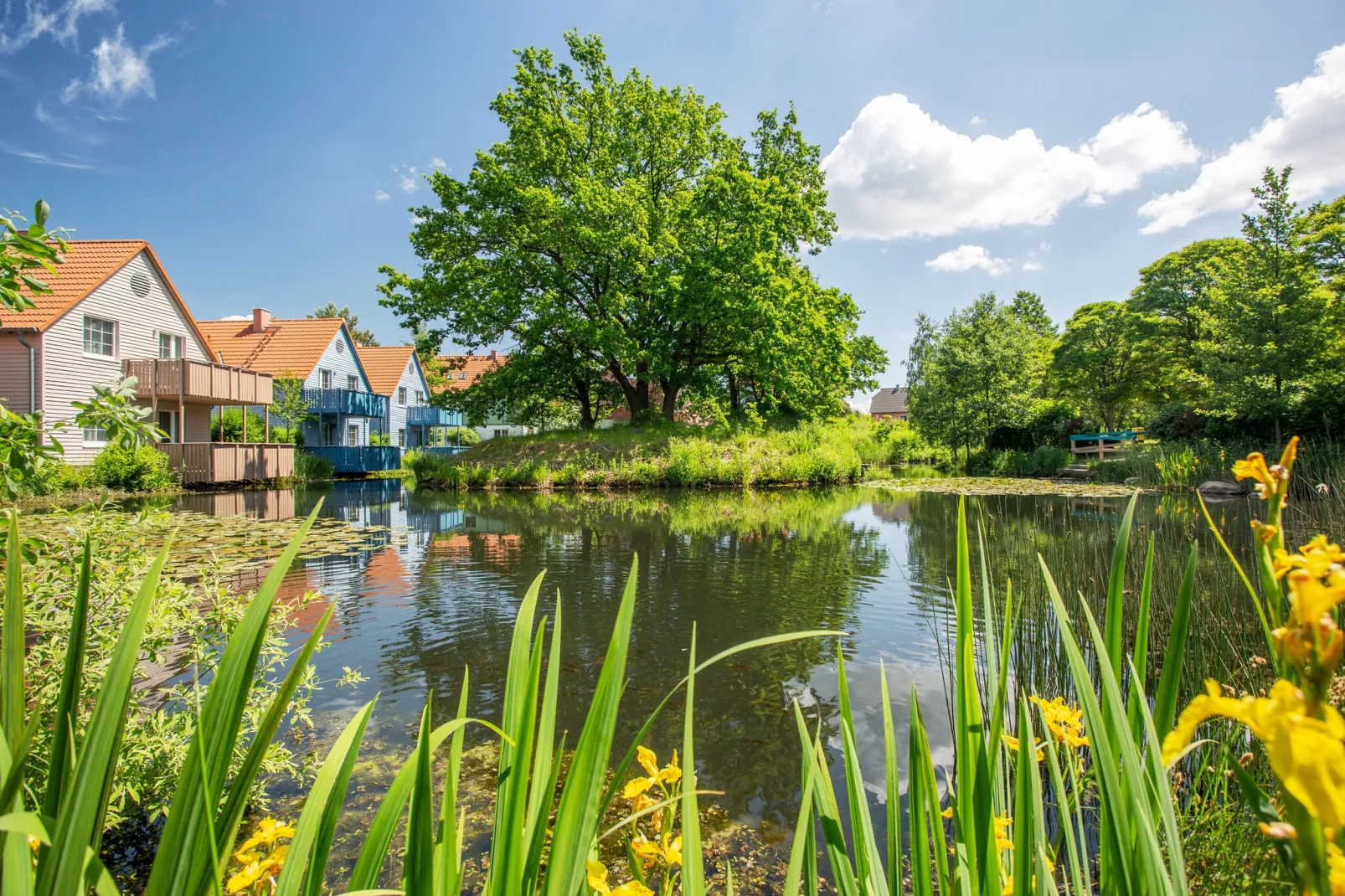BEECH Resort Fleesensee in Göhren-Lebbin-Außenbereich Sommer