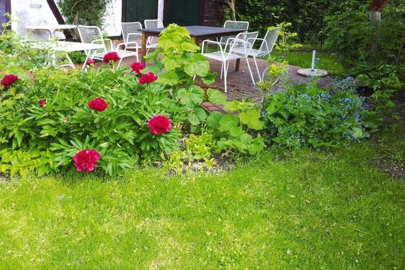 Ferienhaus 195 qm-Gardens summer