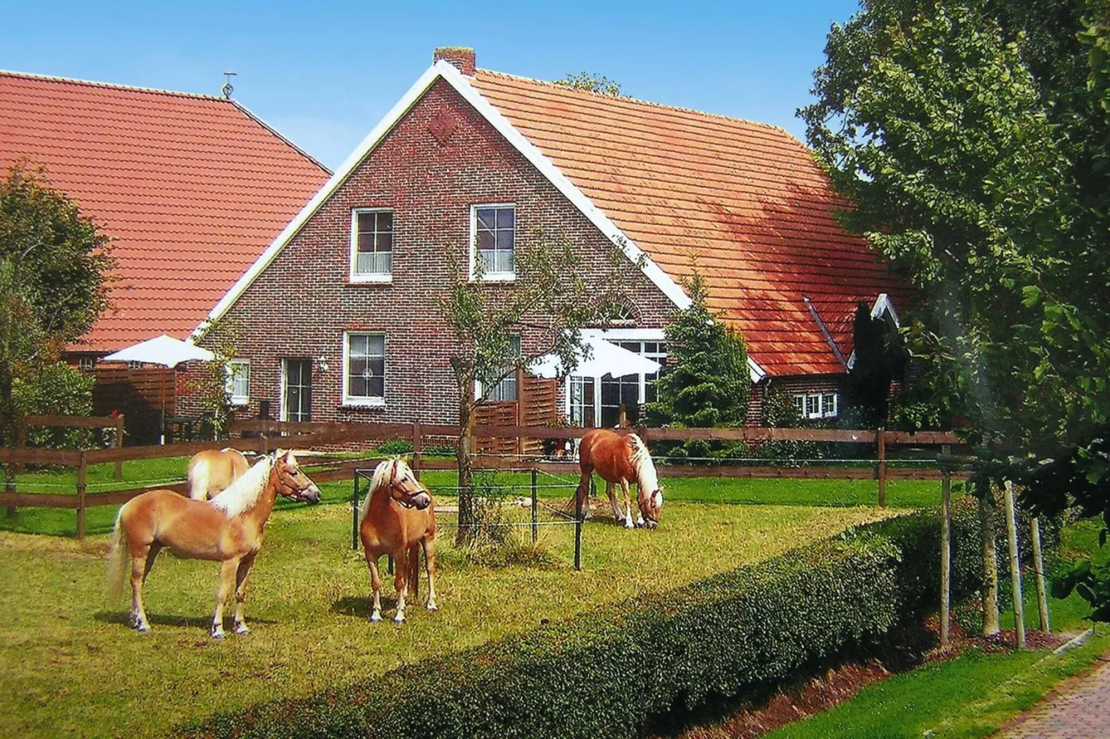 Taubenhaus-Exterior summer
