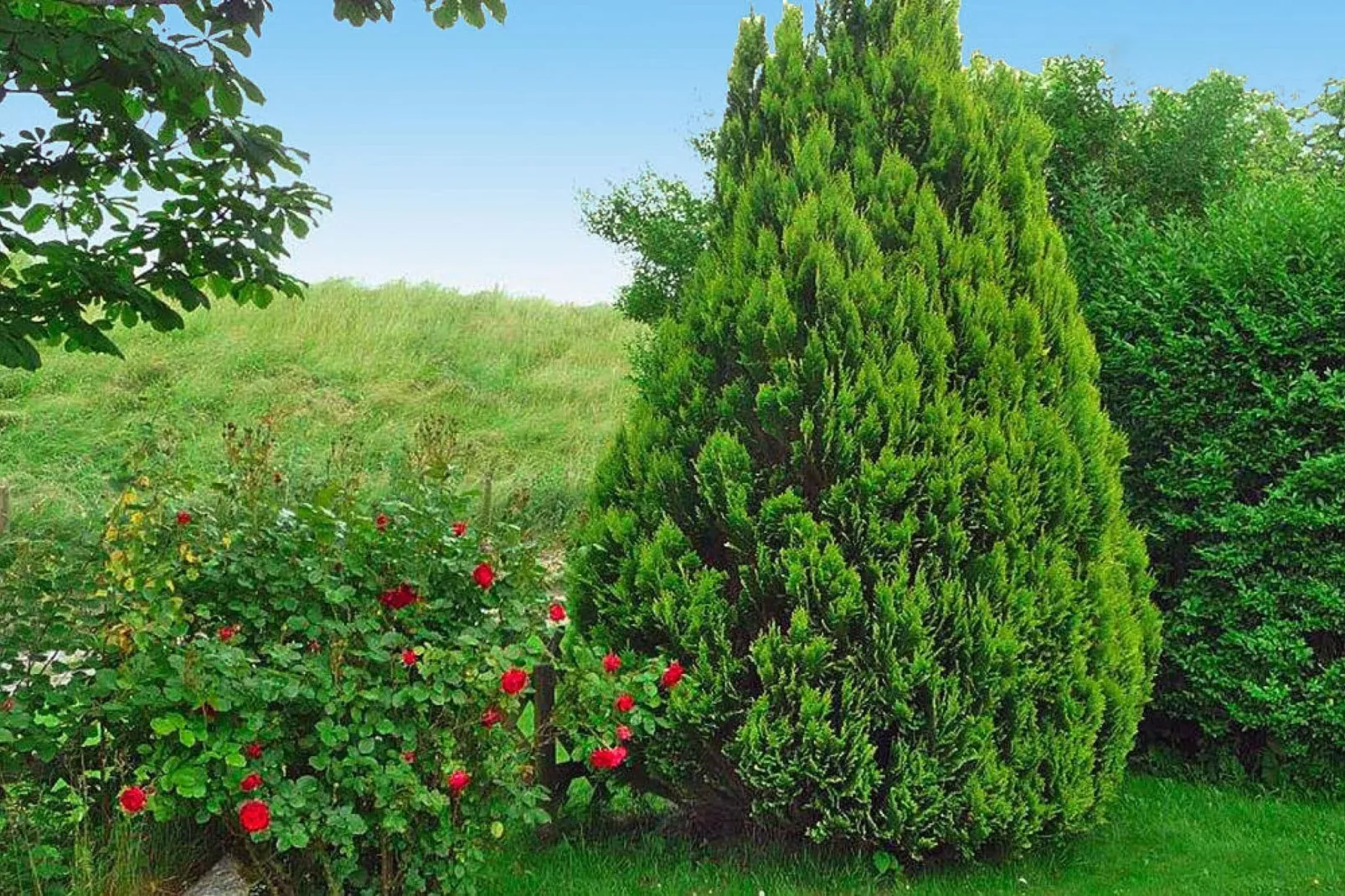 Ferienhaus mit großem Grundstück in Friederikensiel-Jardin d'été