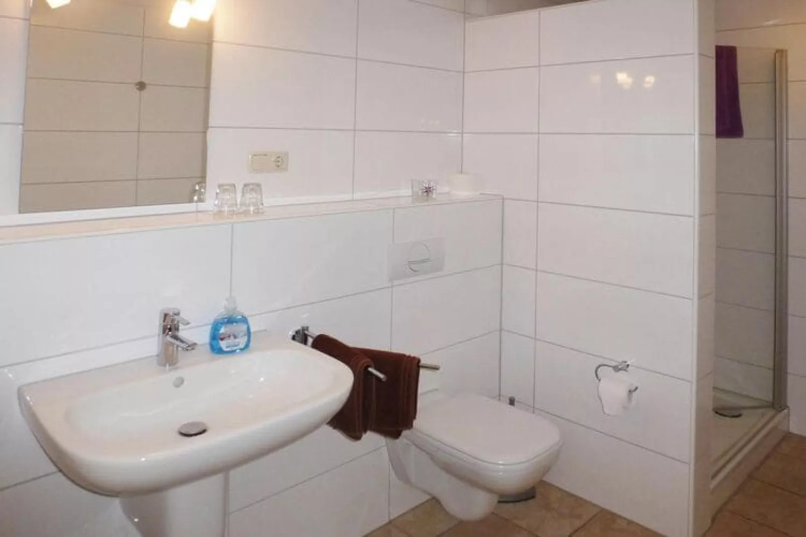 Ferienwohnung Tossens-Bathroom