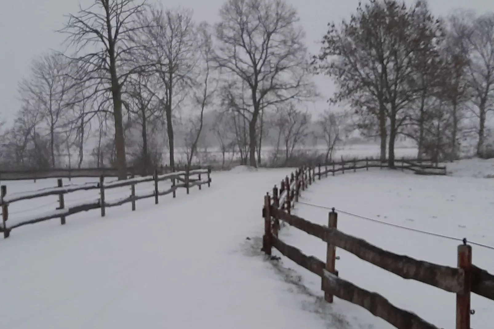 Ferienwohnung Tossens-Exterior winter