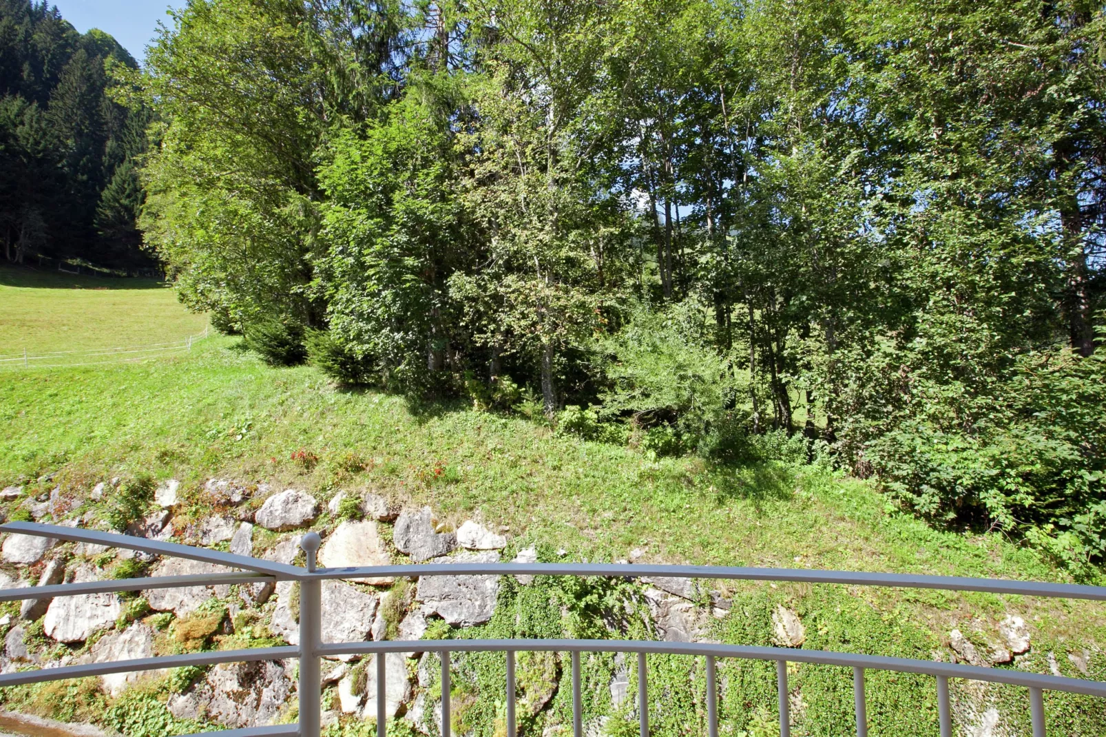 Appartement im Wellness-Aparthotel-Kleinarl-Garten Sommer