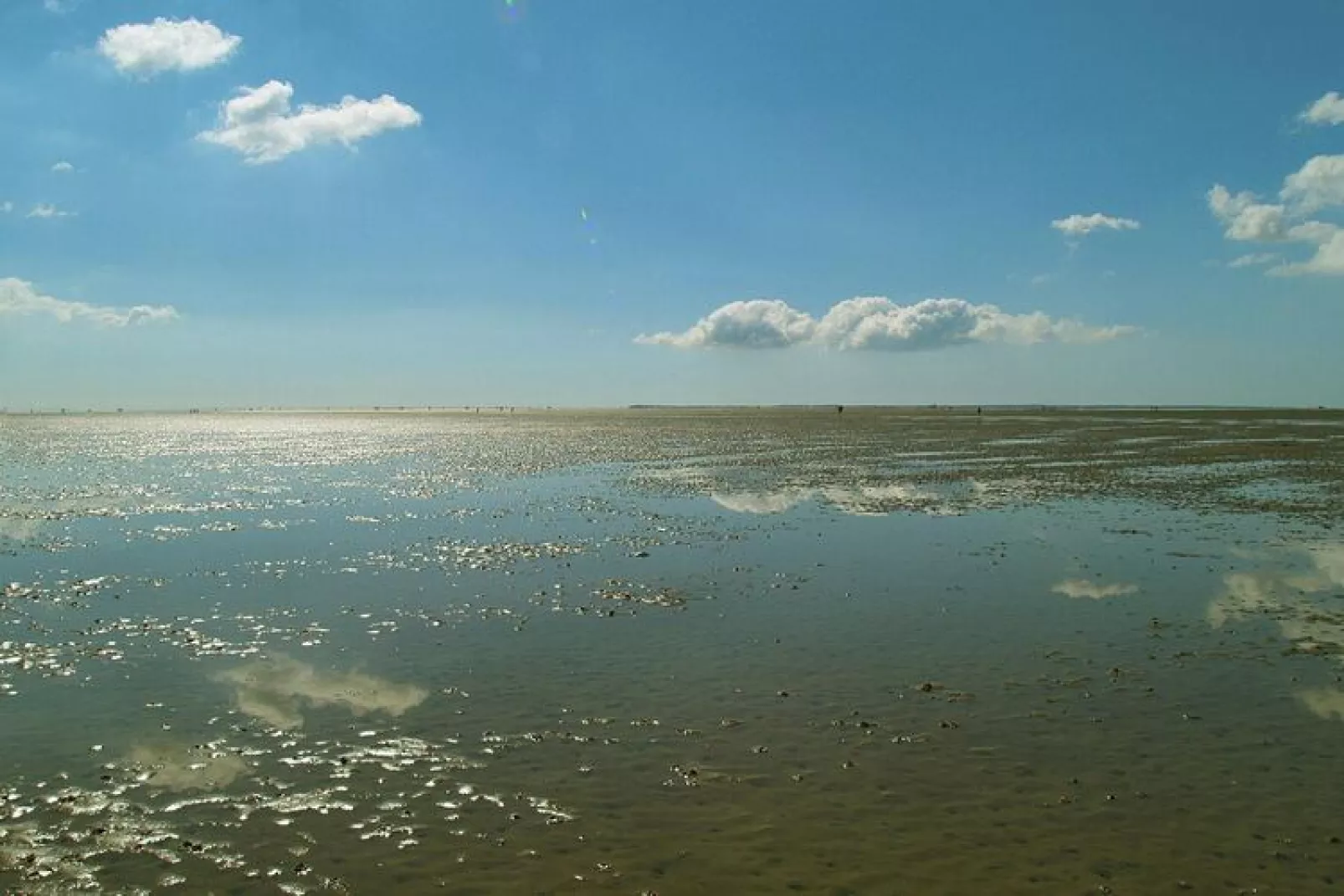 Ferienwohnung in Wyk auf Föhr - LaMer Whg 3-Water view