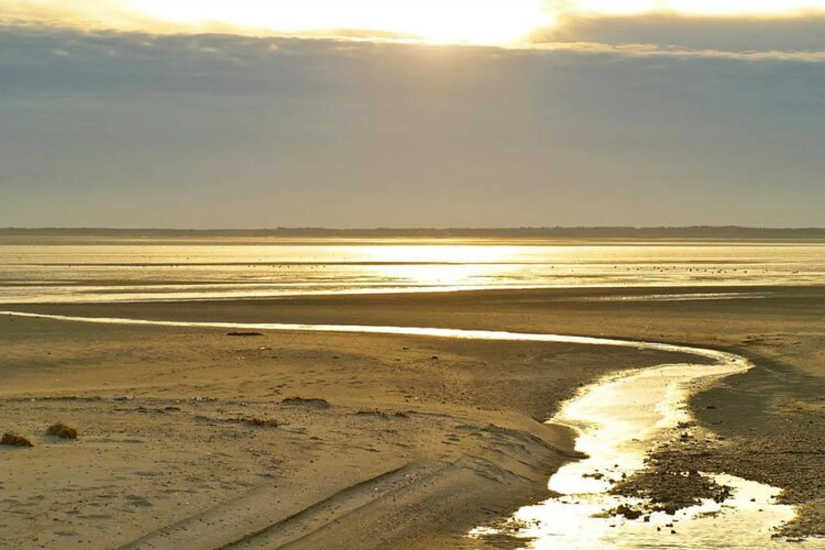 Ferienwohnung in Wyk auf Föhr - LaMer Whg 3-View