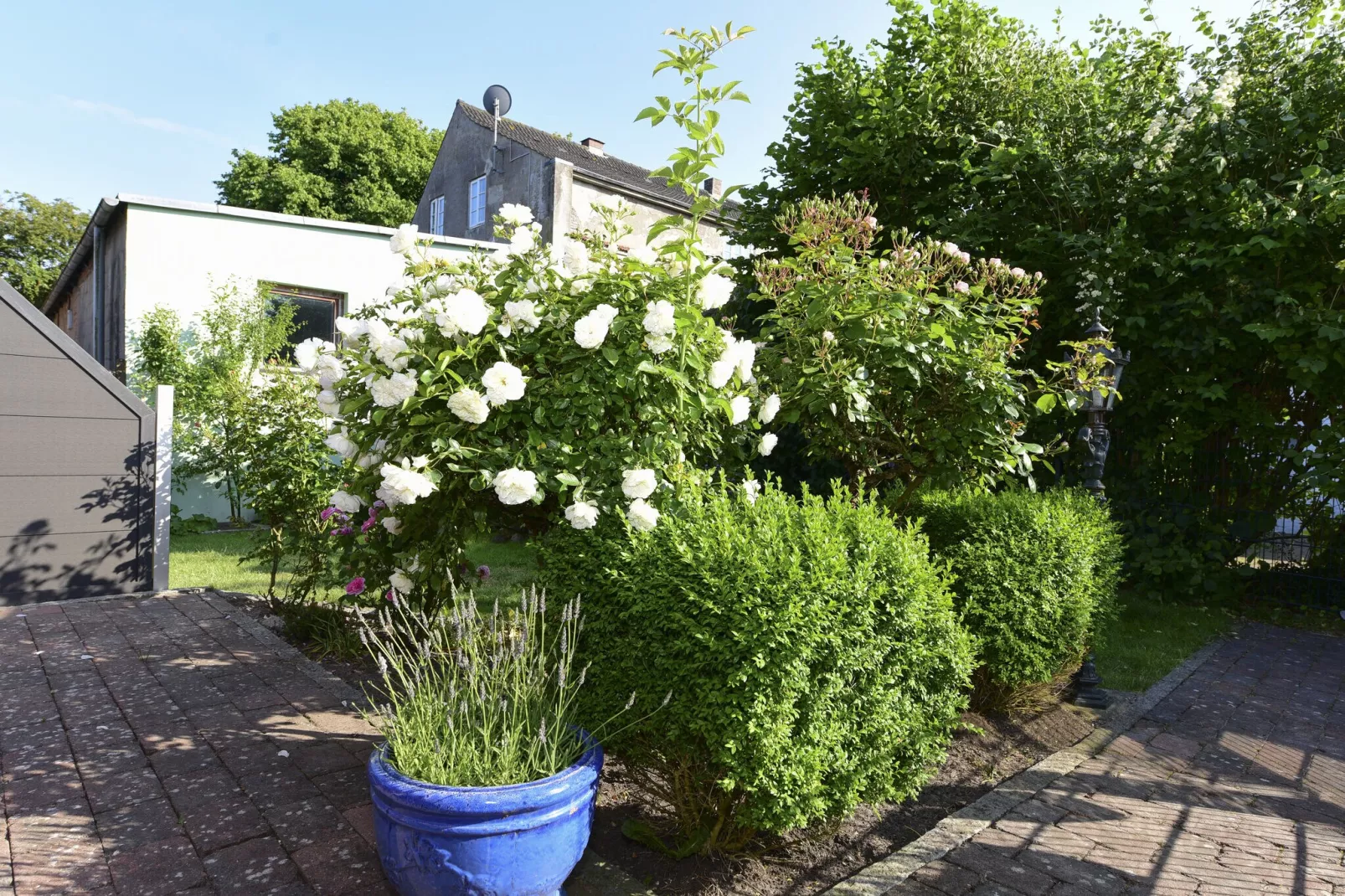 Ferienwohnung in Wyk Boldixum - 3 Erw  2 Kin-Gardens summer