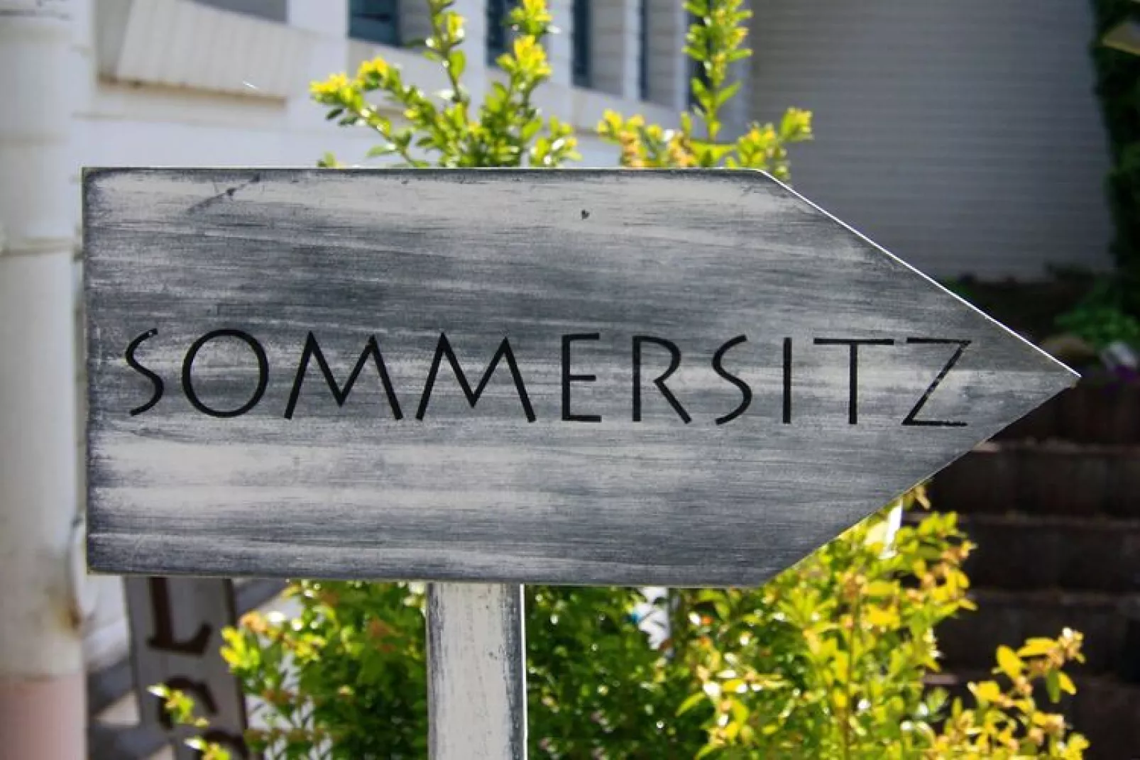 Ferienwohnung Güster 1-2 Personen-Exterior summer