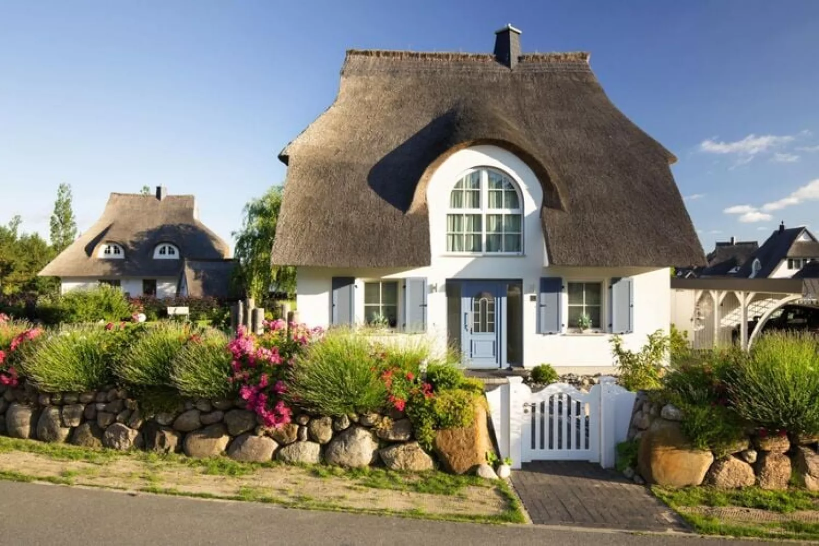Schilfrohrsänger 18-Exterior summer