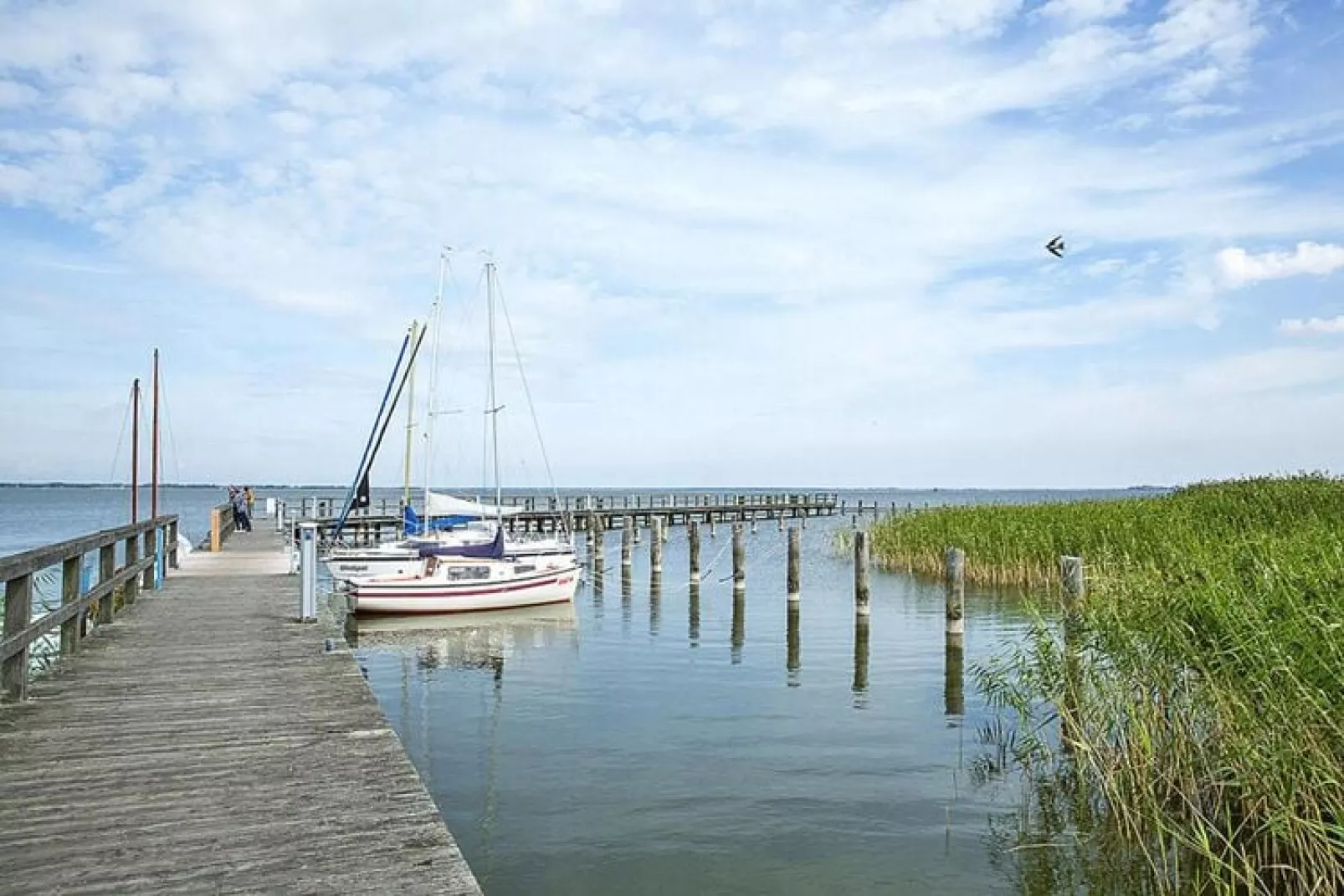 Seeadler 3-Water view