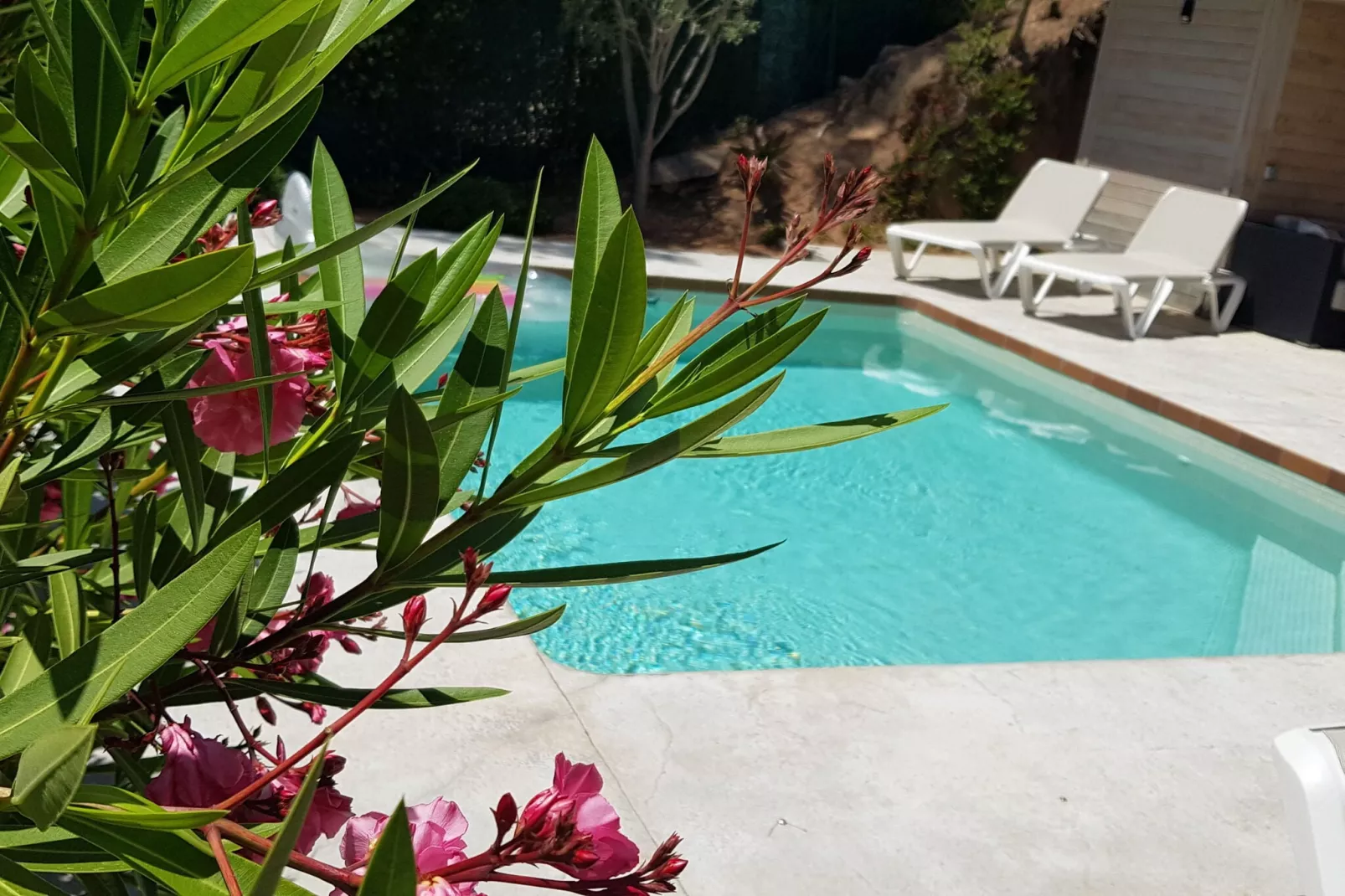 Colom-Pool
