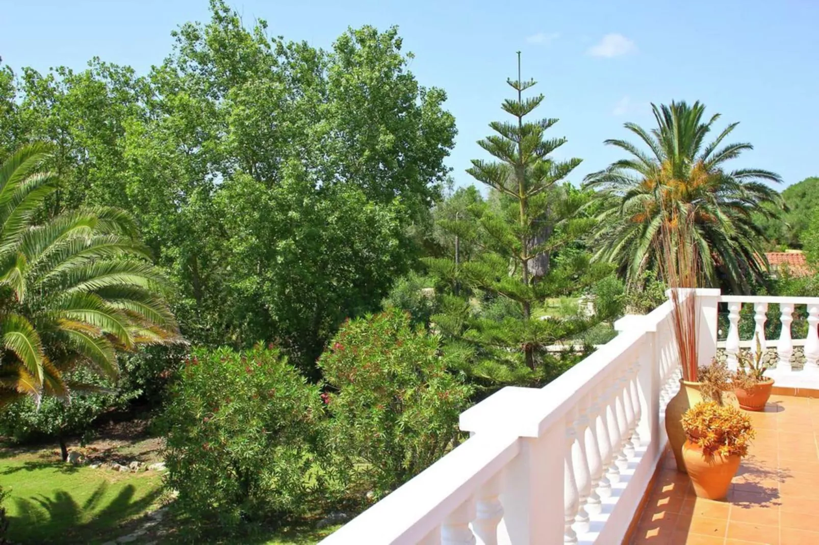 Tórtolas-View summer
