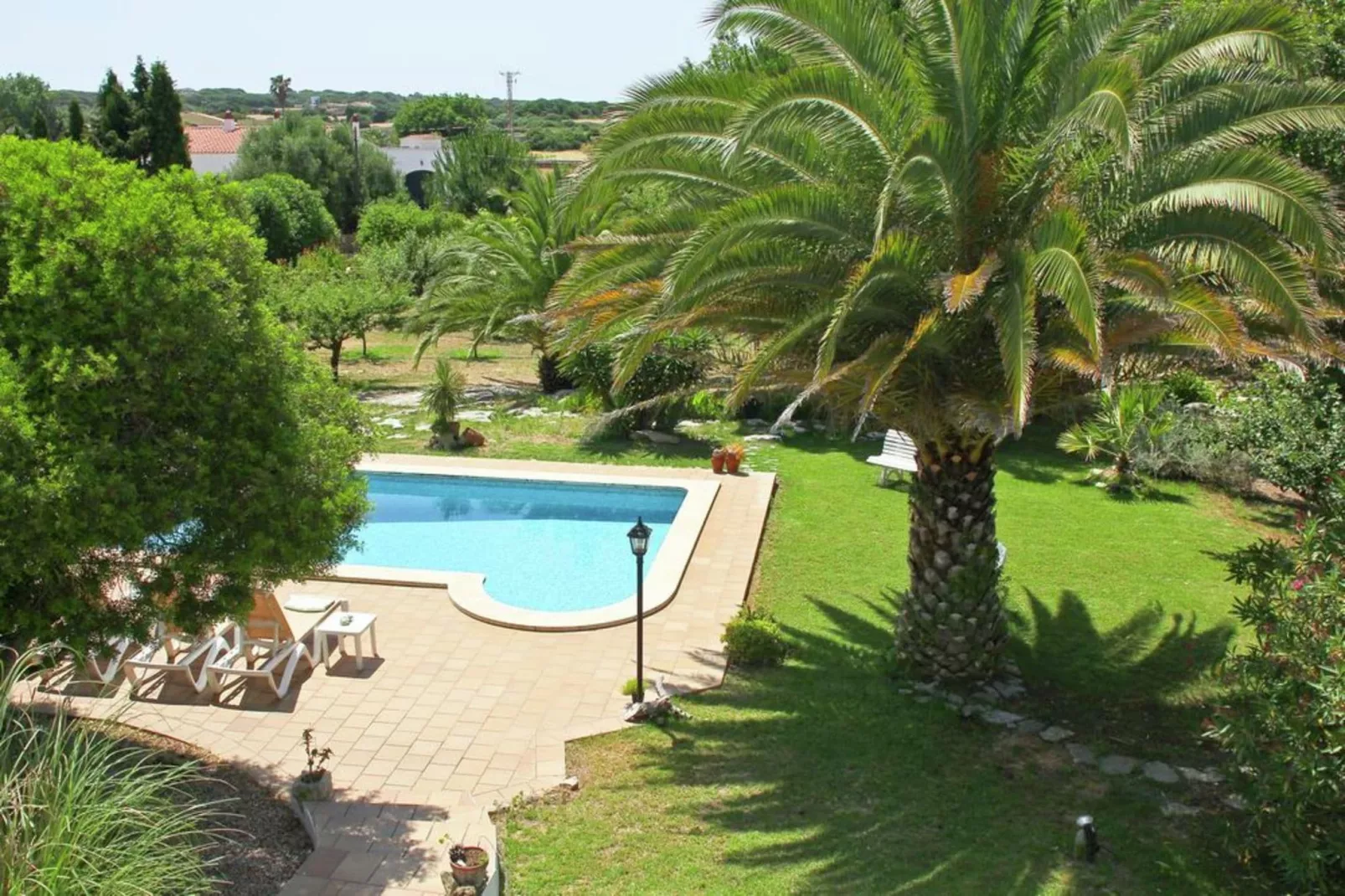 Tórtolas-View summer