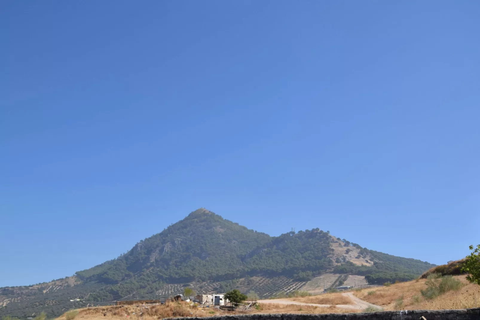 Casa Alegría-View summer