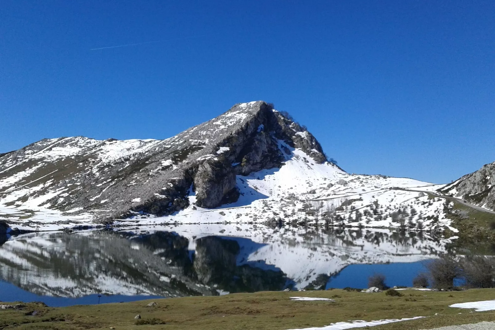 Pruneda III-Area winter 20km