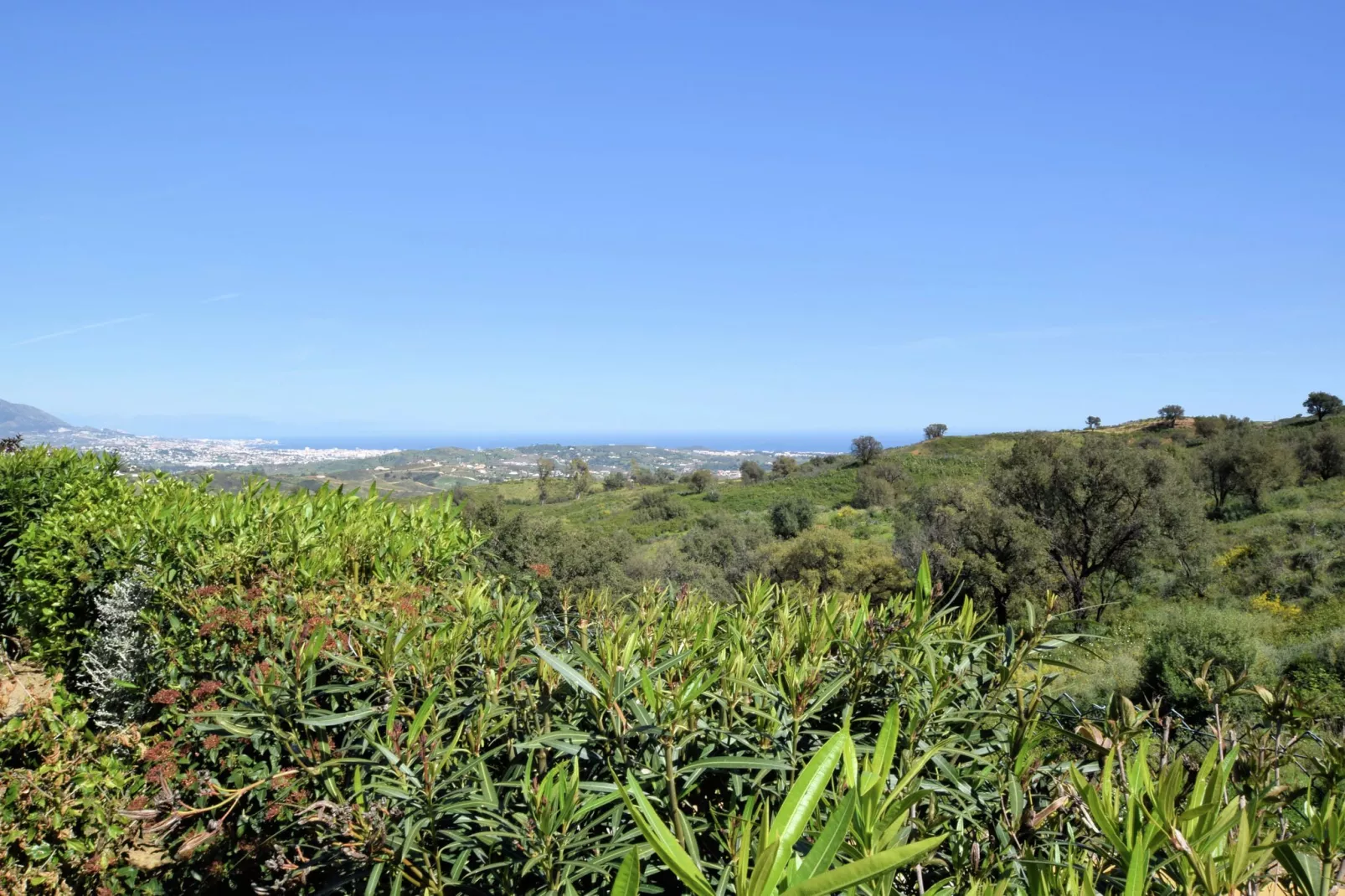 El Soto de Marbella-Vue d'été