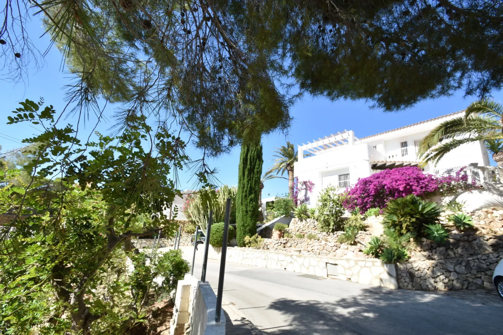 Casa Patricia-Exterior in summer