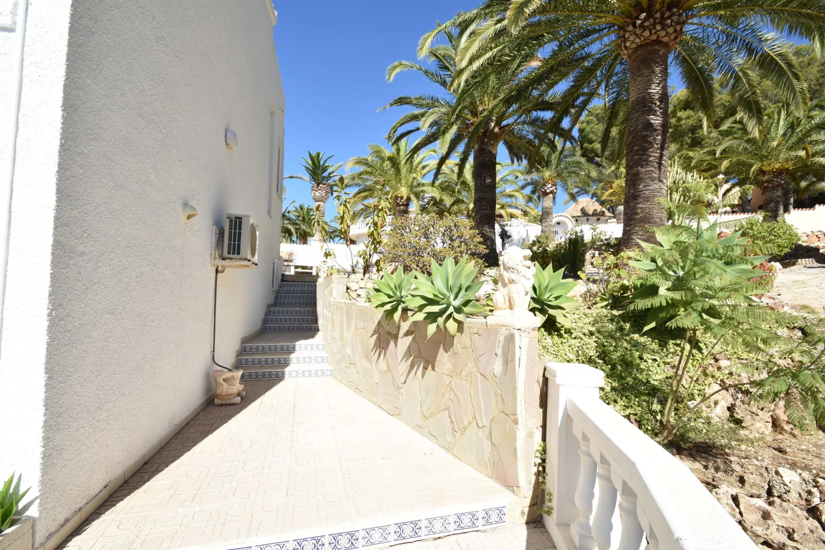 Casa Patricia-Hall & reception