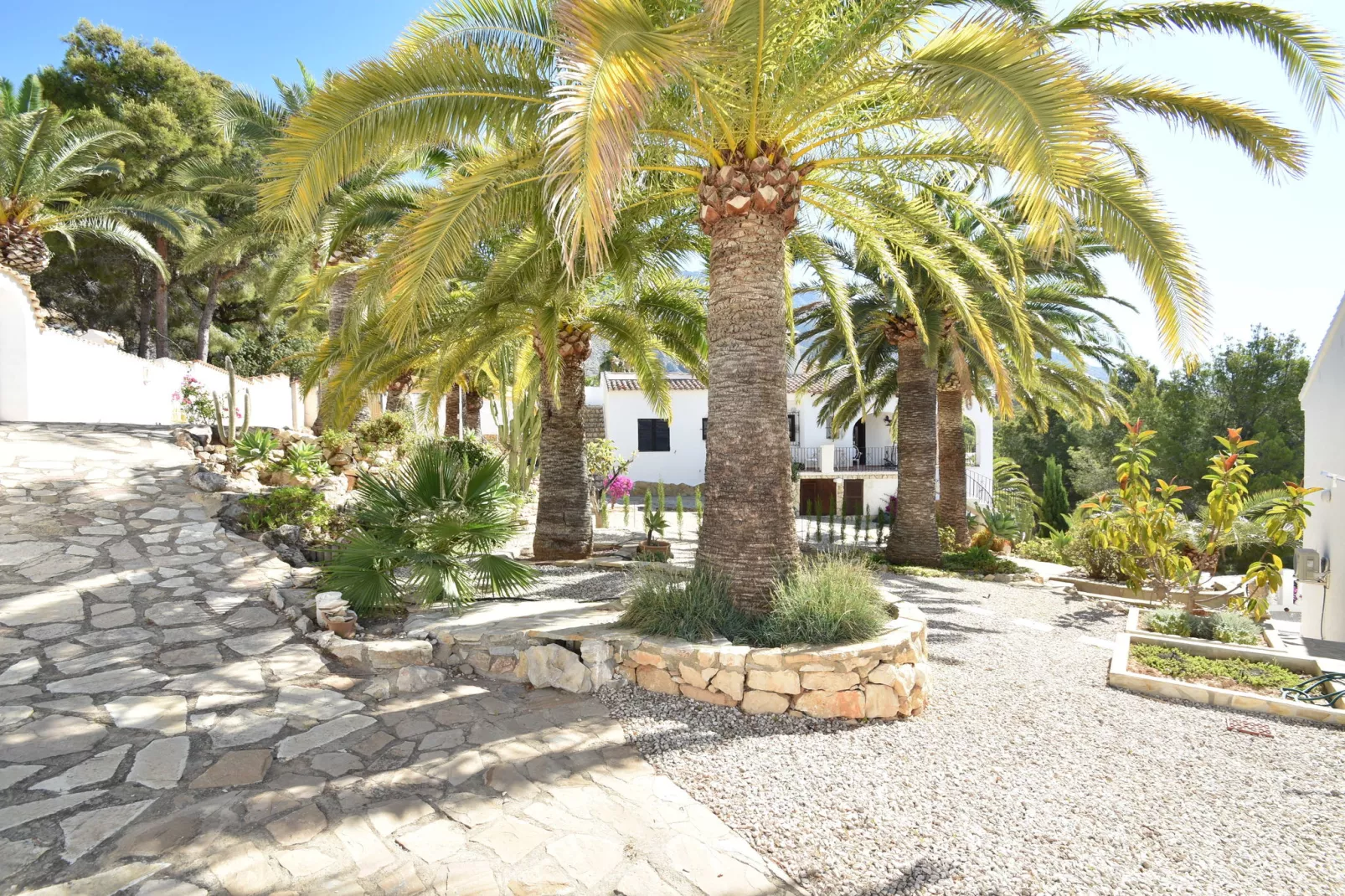 Casa Patricia-Gardens in summer