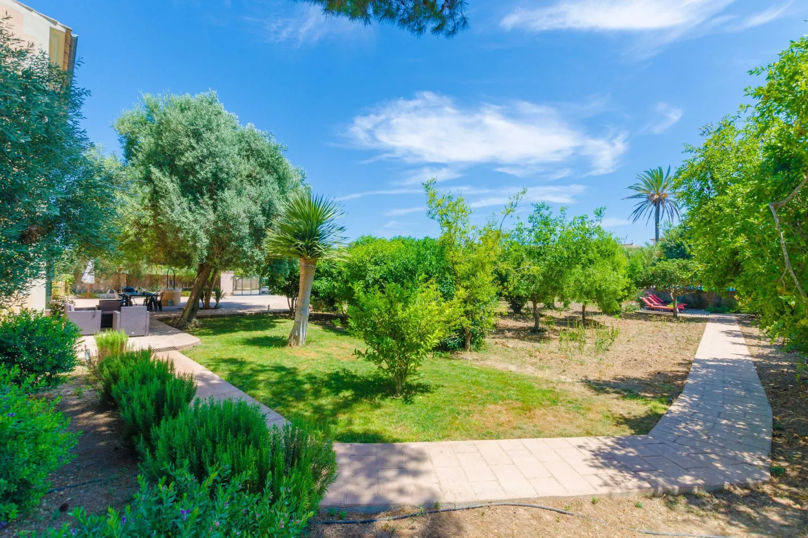 Hort de Can Bou-Exterior summer